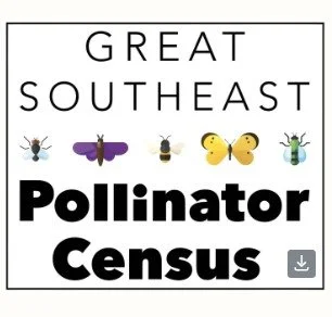 Great Southeast Pollinator Census