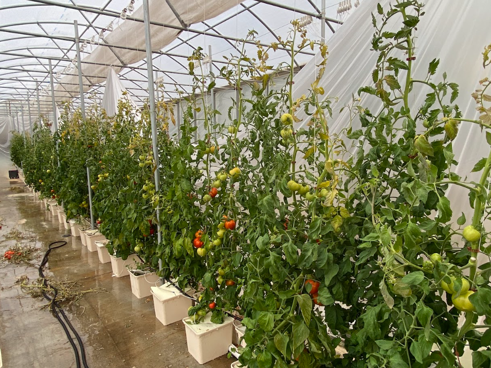 The Peachtree Corners Garden Club and Peachtree Farm