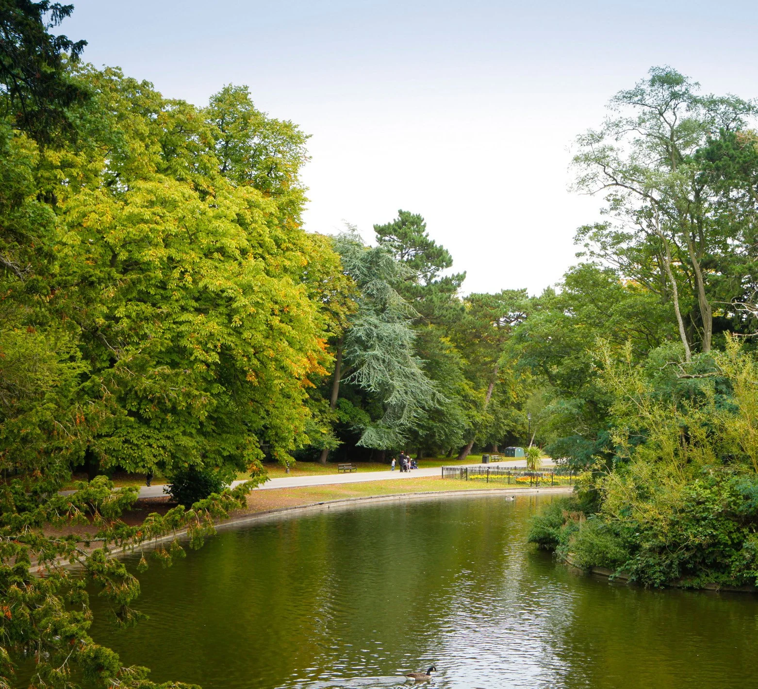 A park with a pond, surrounded by large green trees, with a few people walking on a pathway and a duck swimming in the pond.