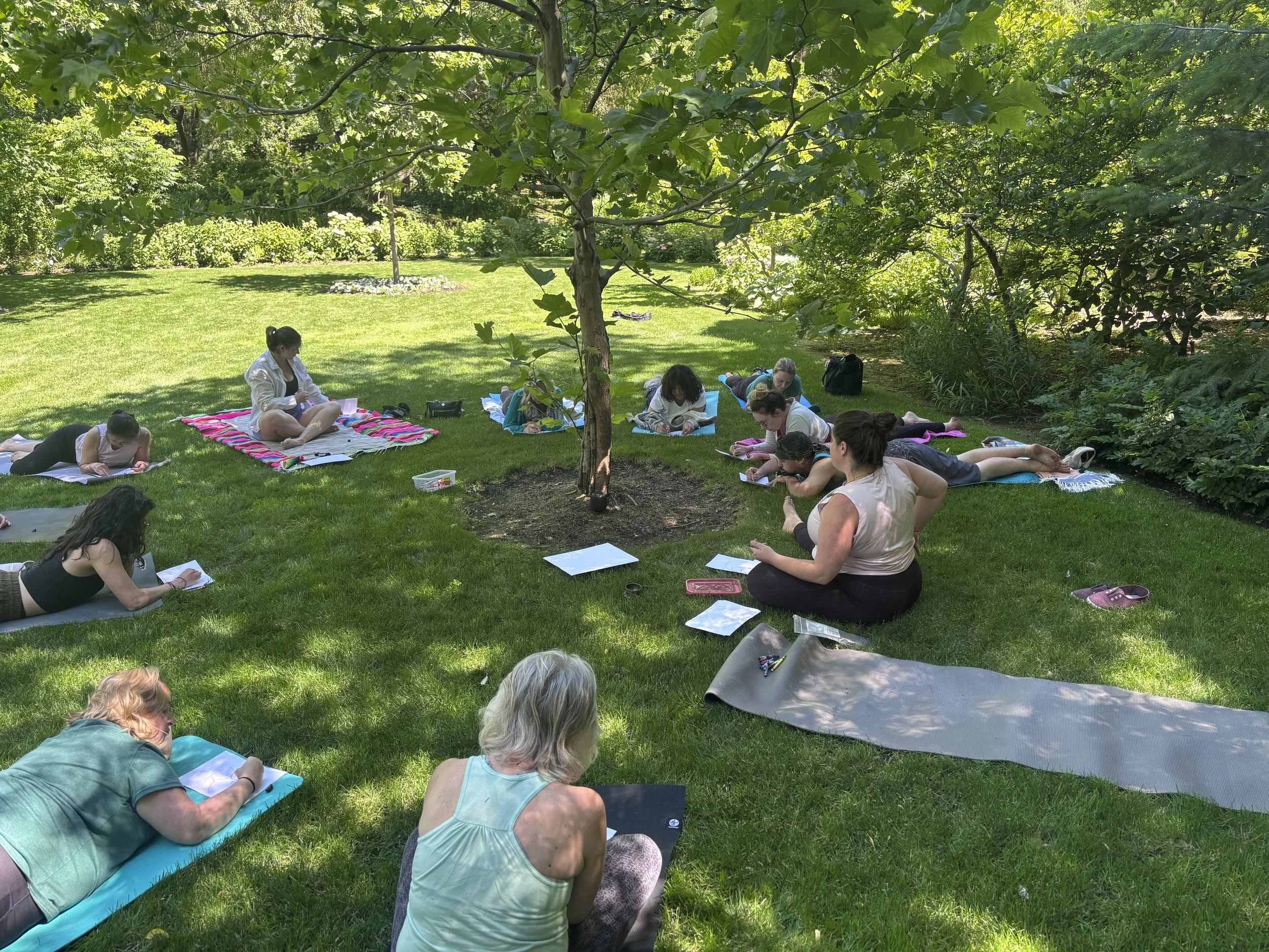 A group of people participating in an outdoor yoga or meditation class on a lush green lawn under large trees in a park, all lying on their mats and focused on their practice.