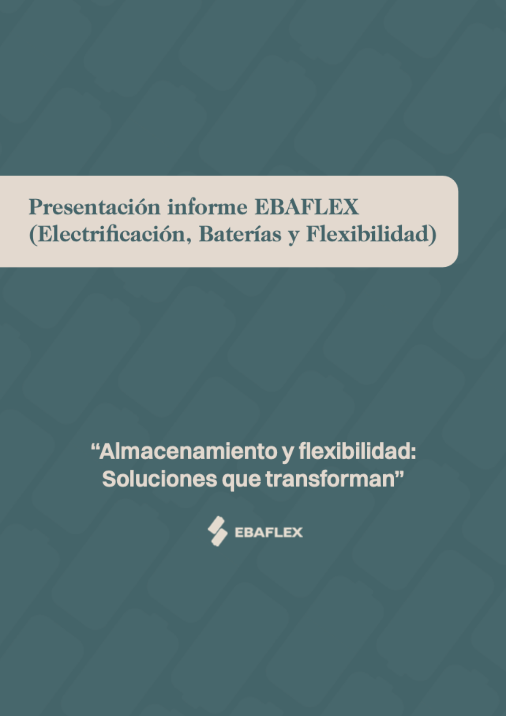 Informe EBAFLEX