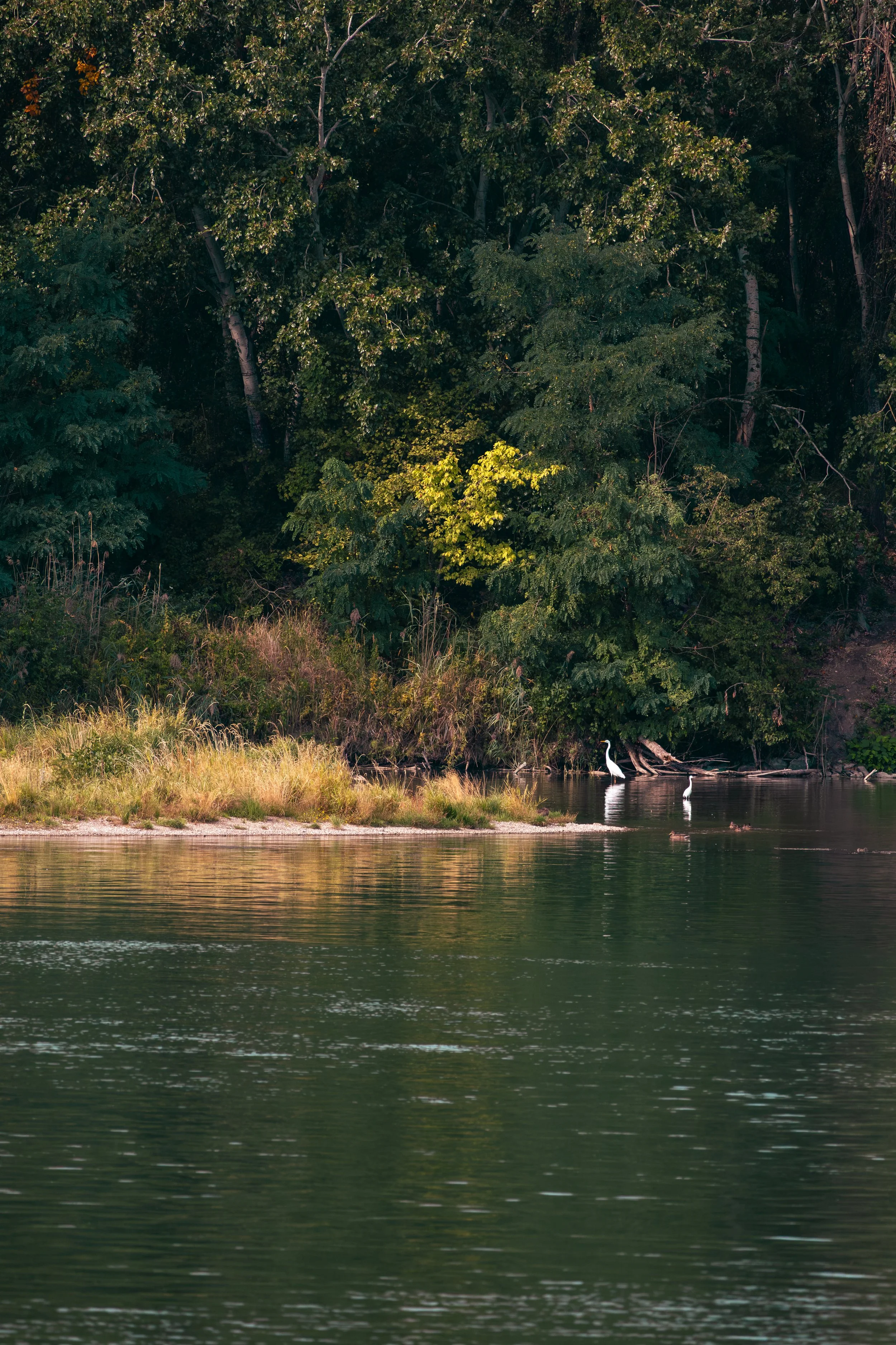 IMG_4038.jpg