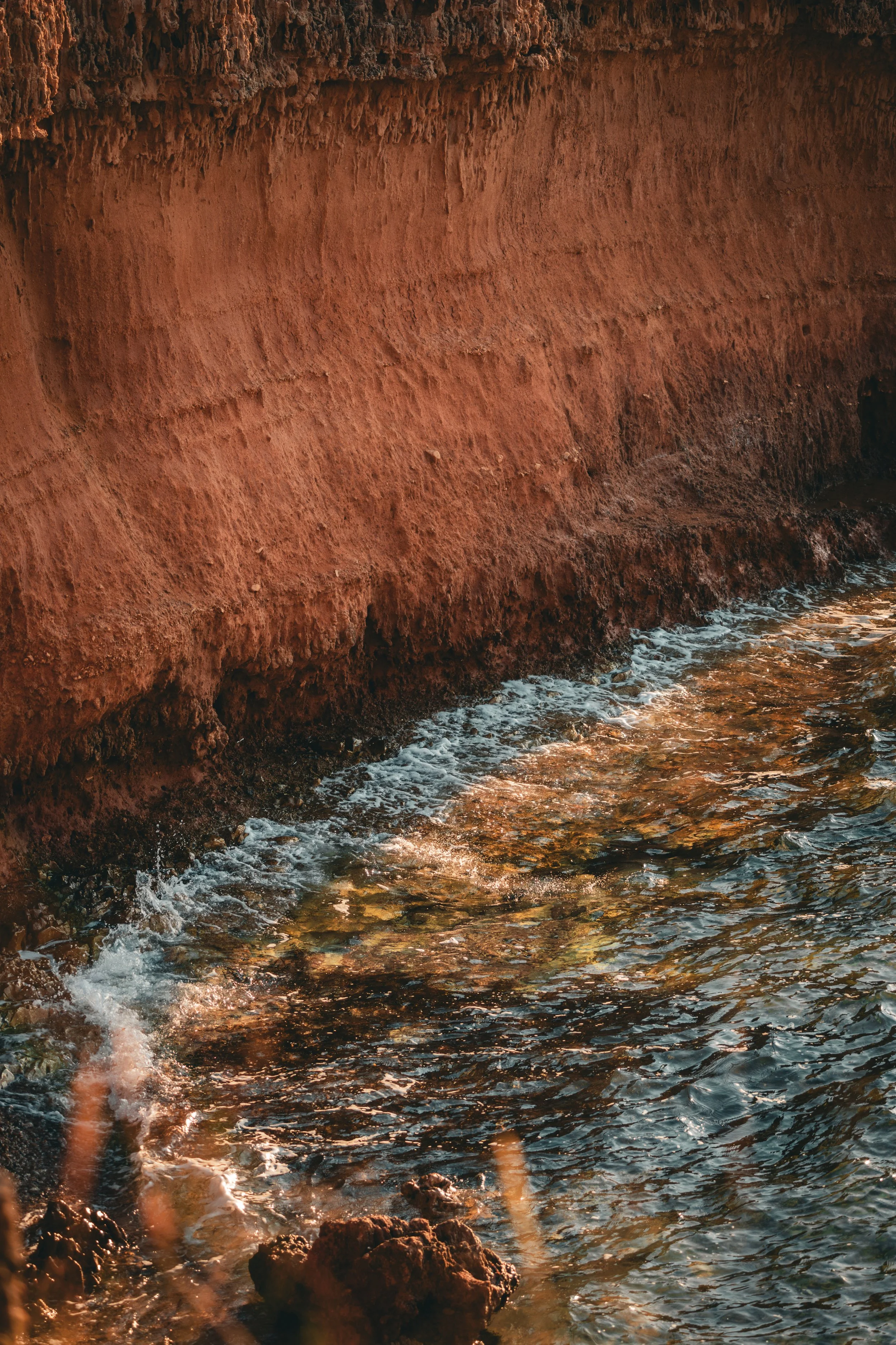 Golden hour on crimson earth.jpg