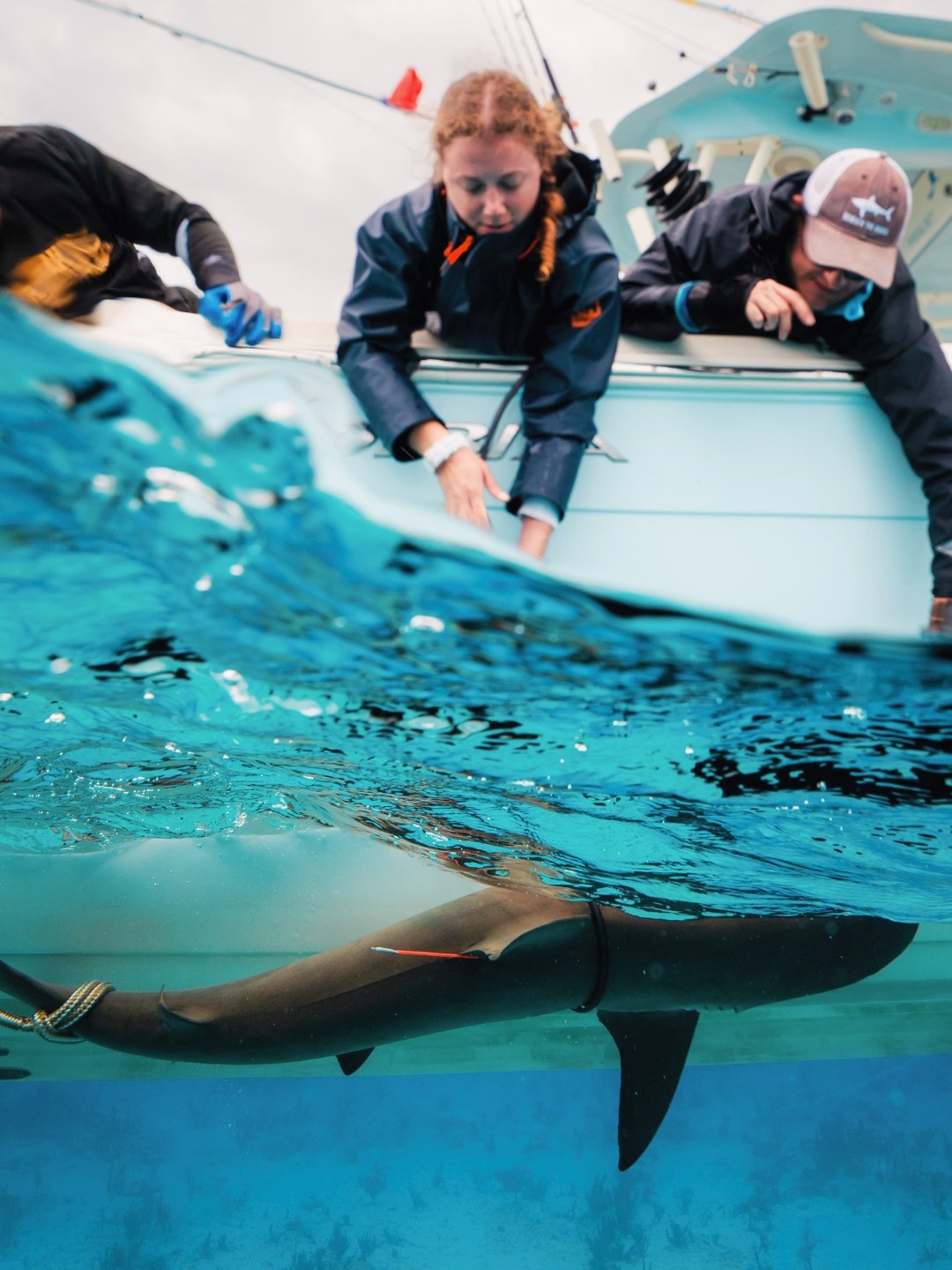 Although we have been exploring different parts or our oceans for new species, ocean giants, and whatever mysteries it may hold, sharks have always been at the forefront of what we do. Since our inception they&rsquo;ve captivated us, inspired us, and