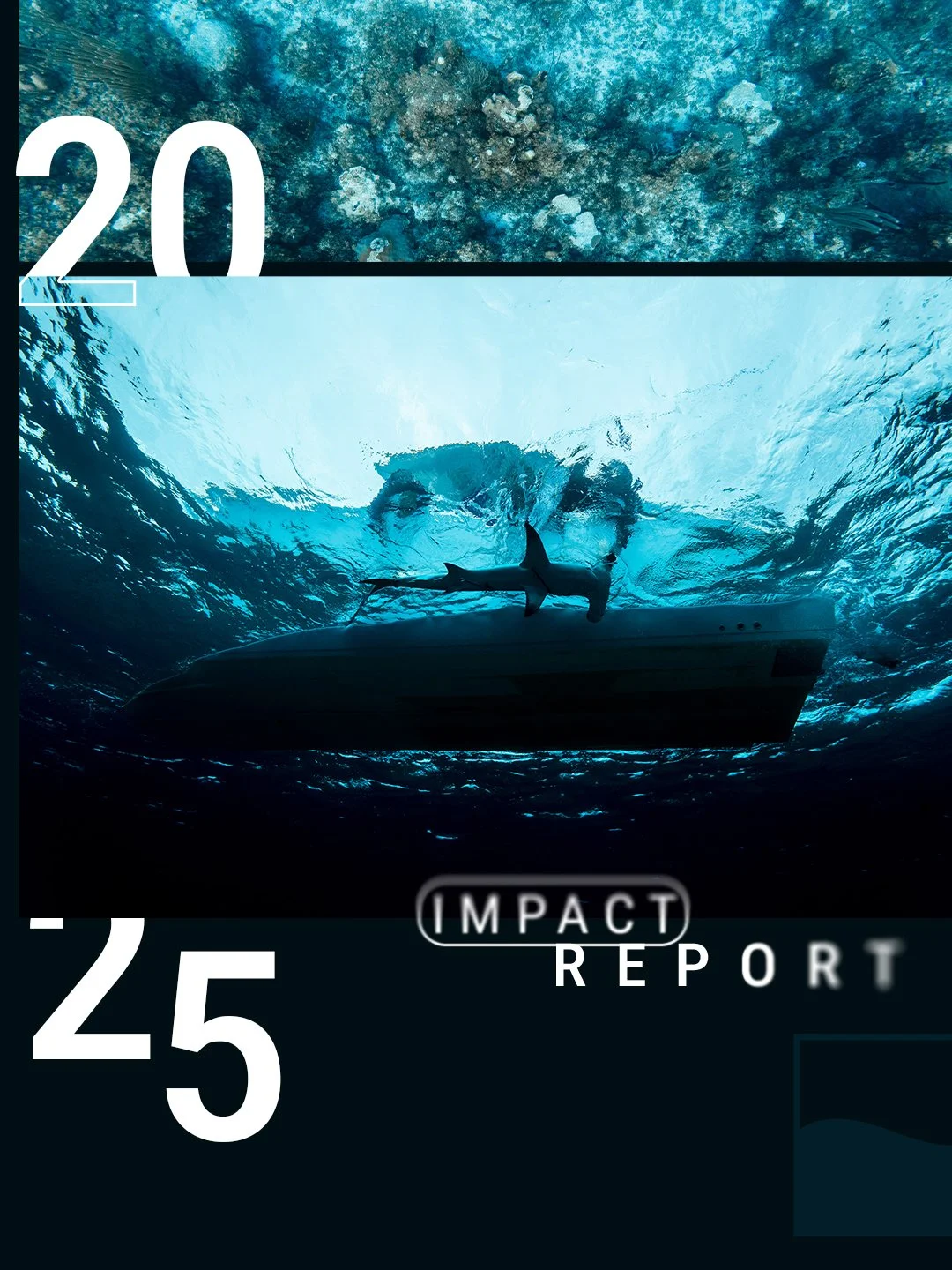 Our annual impact report is out! Strategic growth, ocean giants, new countries, and plenty of publications and discoveries. Check the link in our bio to dive in to the details of what we accomplished in 2025.

Photos by @drew_mcdougall 
#BeneathTheWa