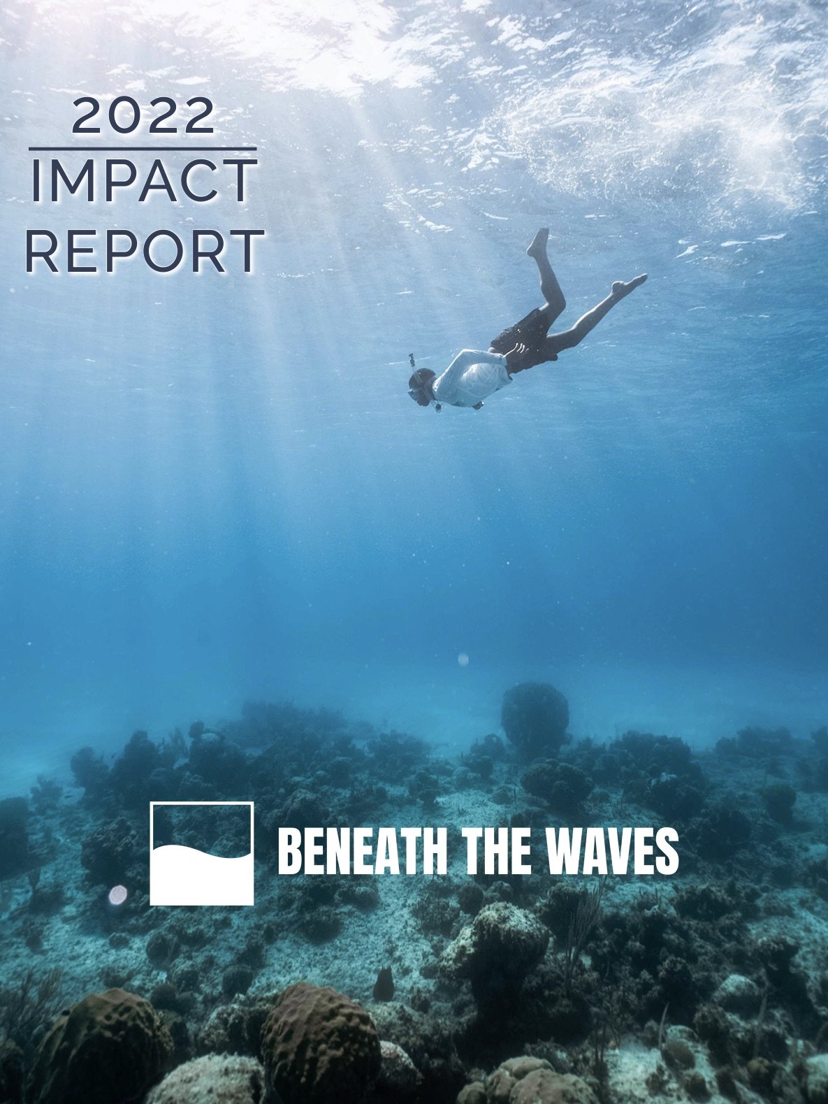 Cover photo for 2022 Annual Impact Report from Beneath The Waves.