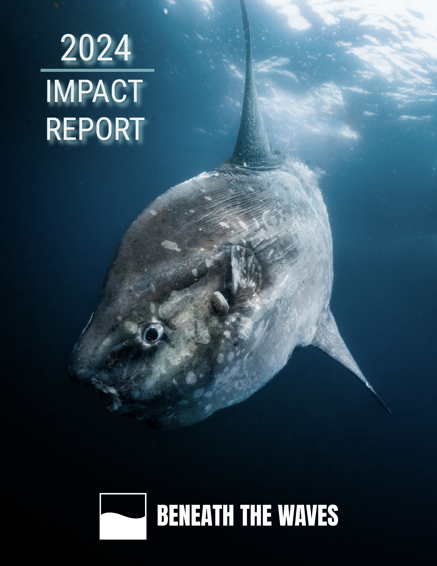 Cover photo for 2024 Annual Impact Report from Beneath The Waves.