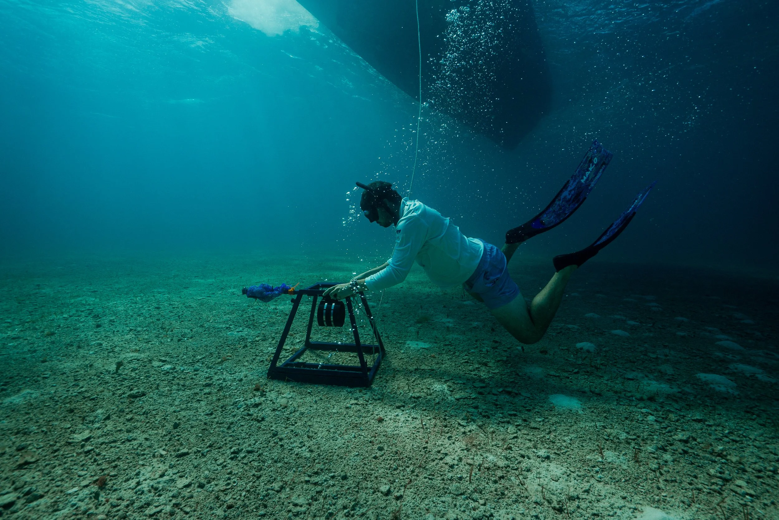 Dr. Austin Gallagher deploying a Baited Remote Underwater Video System (BRUVS).