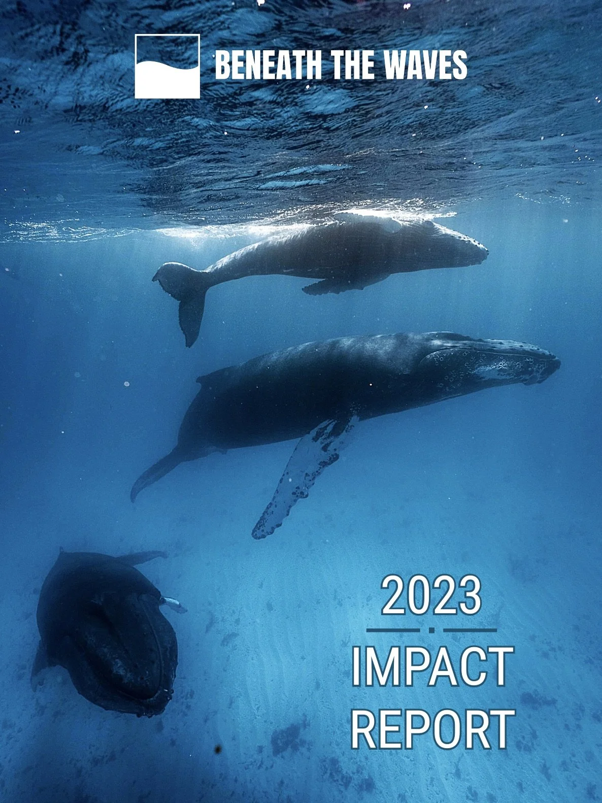 Cover photo for 2023 Annual Impact Report from Beneath The Waves.