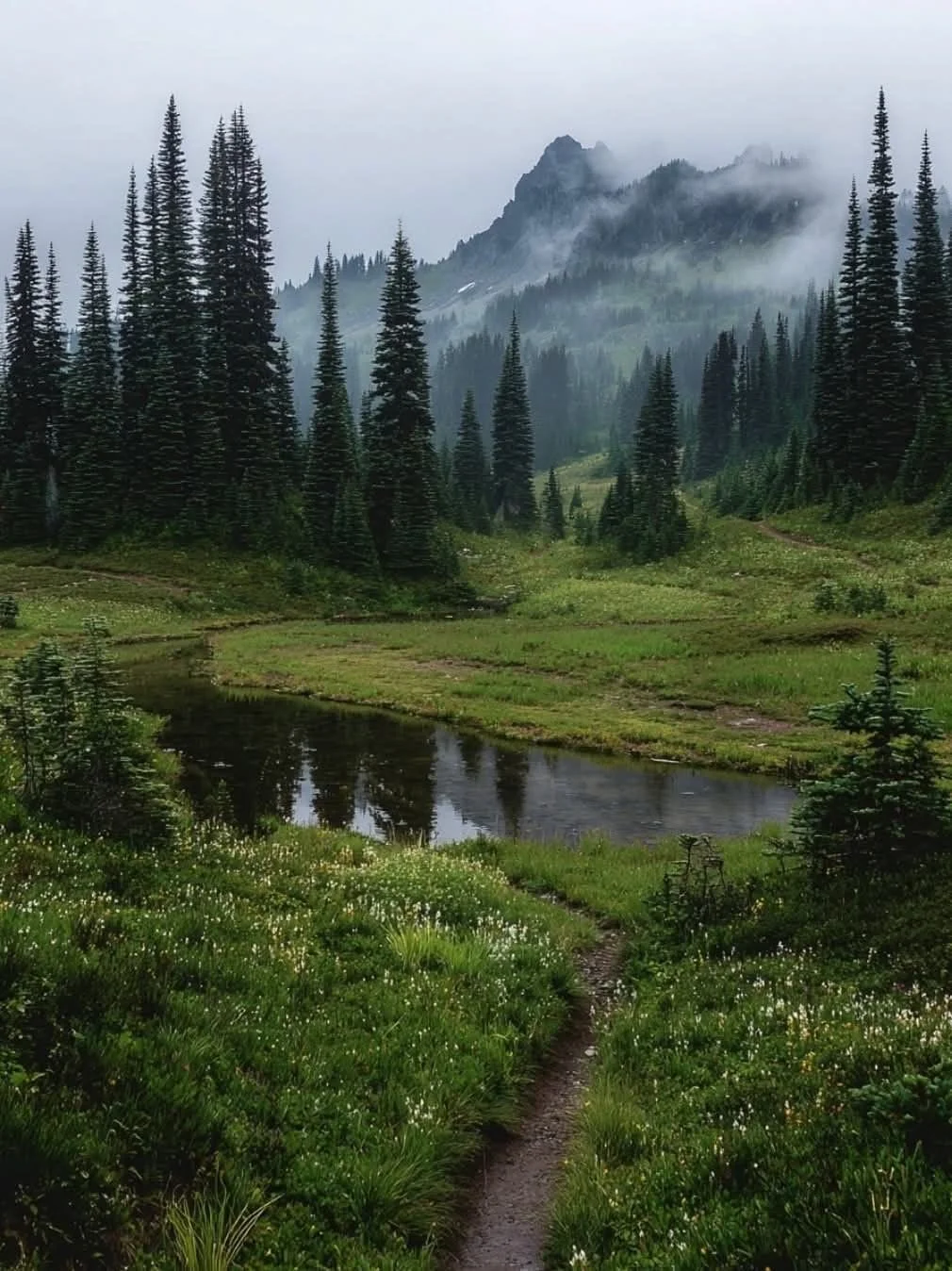 A lush green mountain valley with tall pine trees, a small winding dirt path, a narrow stream, and foggy mountain peaks in the background.