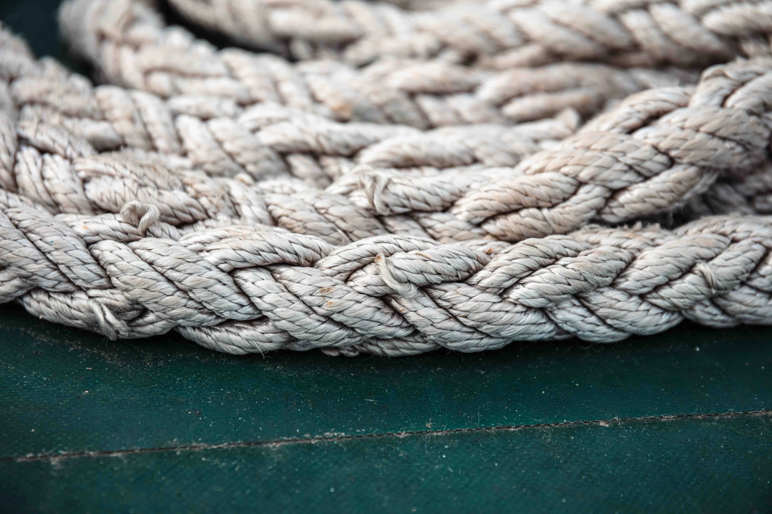 Close-up of a thick, twisted white rope resting on a green surface.