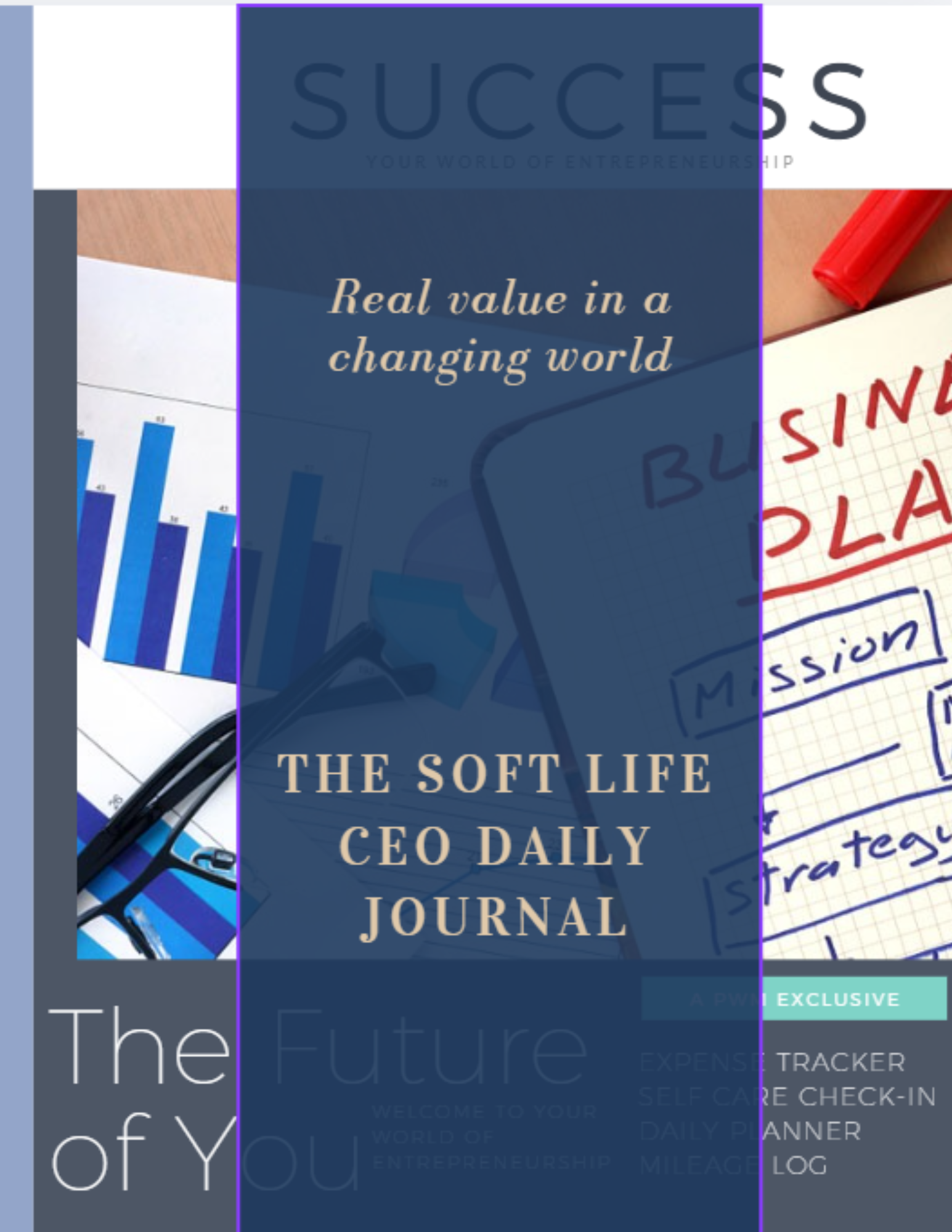 Consulting Journal Promo (3).png