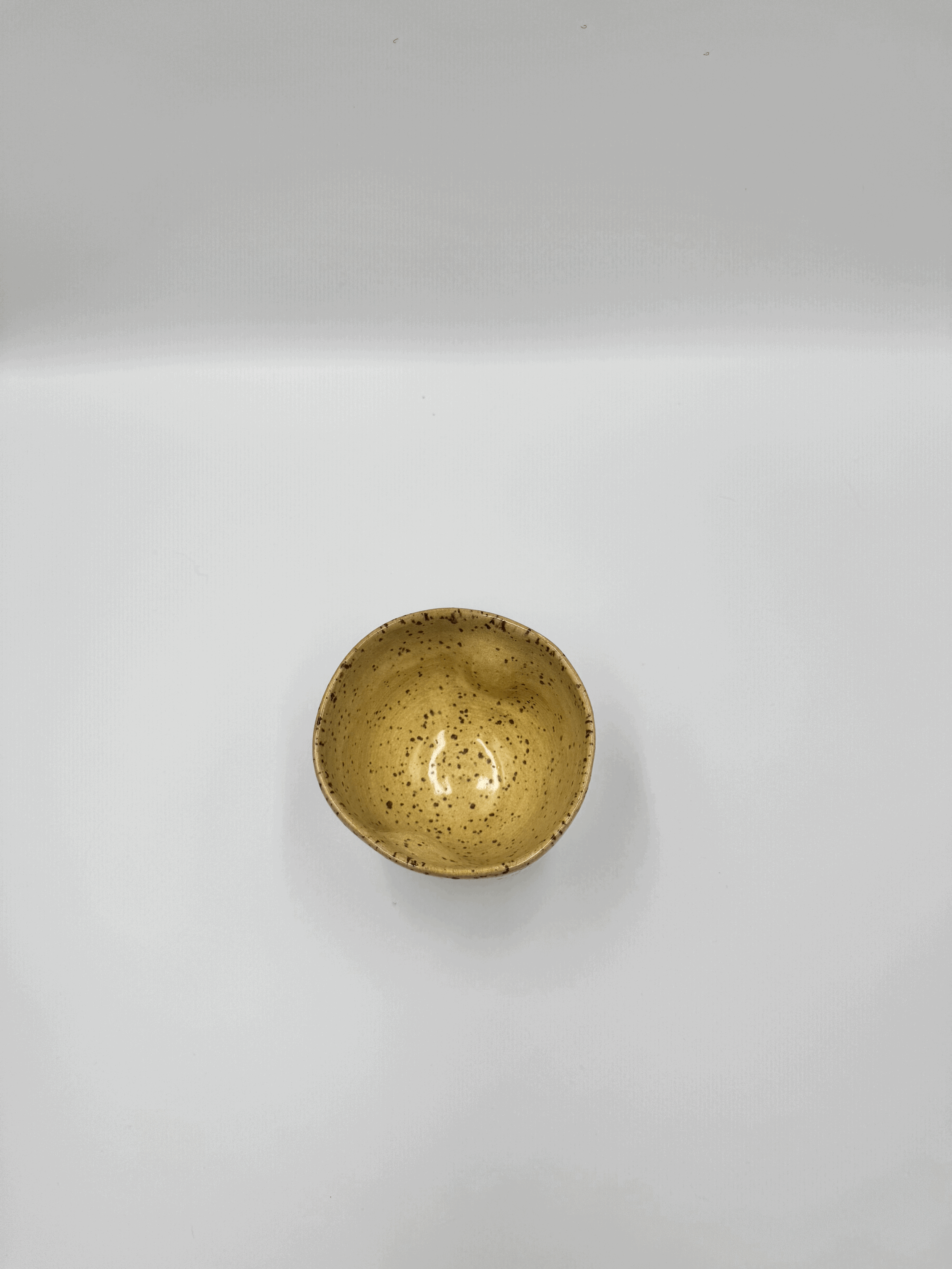 tempImageAVILlo.gif