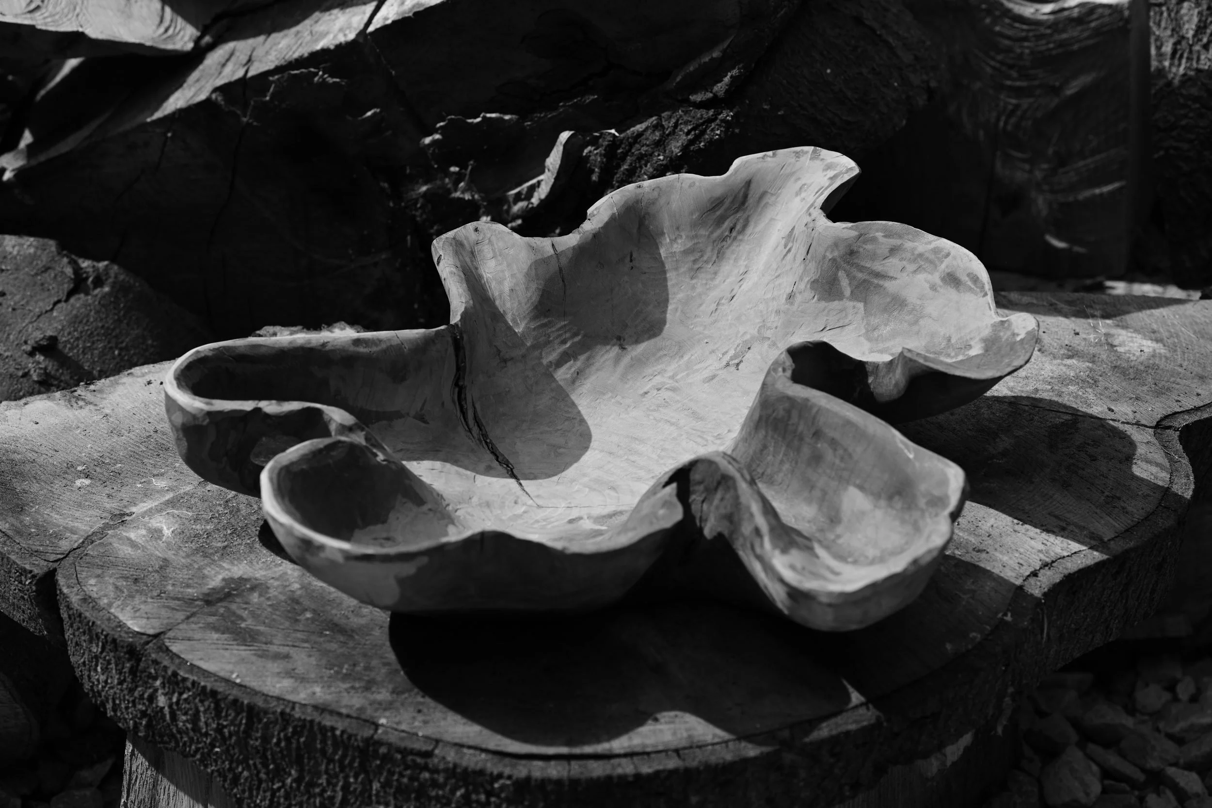 Cherry, carved from a tree felled in 2024. The profile of the trunk is still in the rim; resin fills what the tree left open.