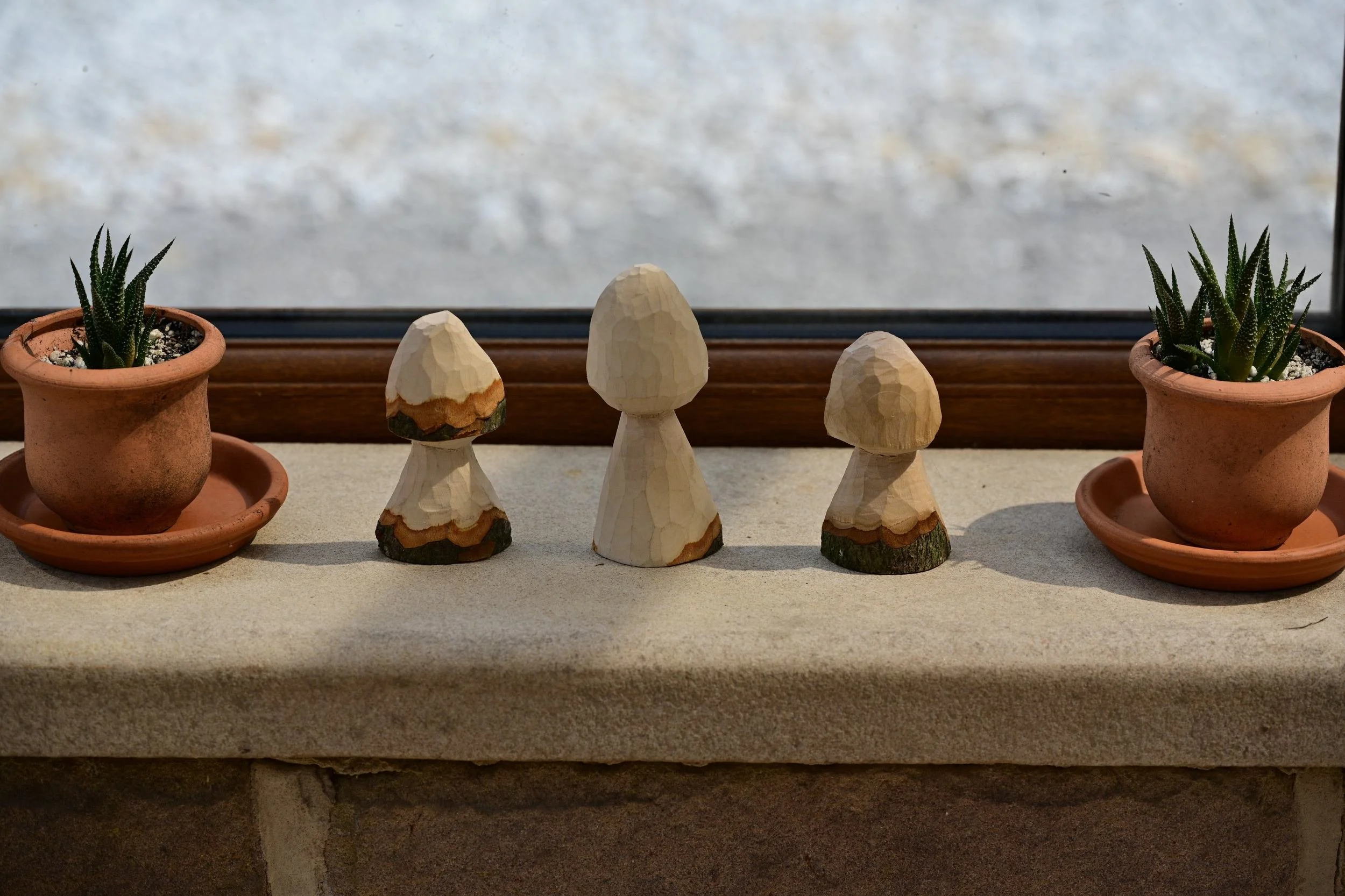 Mushroom scoops at rest.