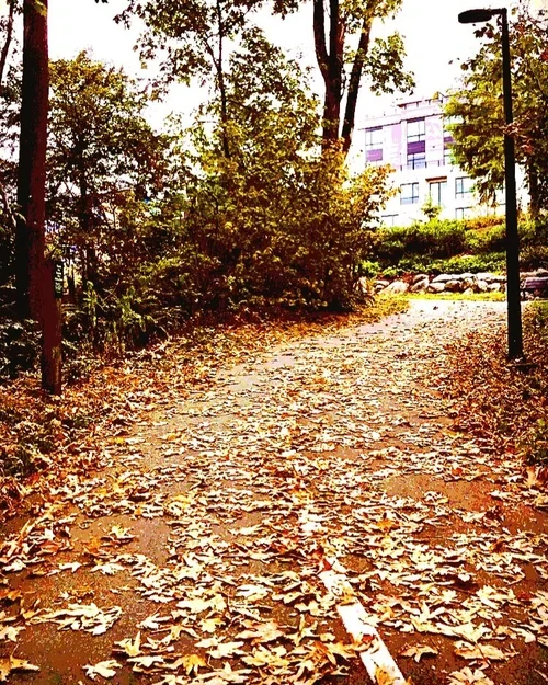 View Optometry’s Eye Care Tips &amp; Tricks this Fall Season