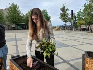 Shipyards Garden District in Lower Lonsdale