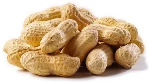 peanuts.webp