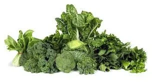 Nutrition+-+Green+Leafy+Vegetables.webp