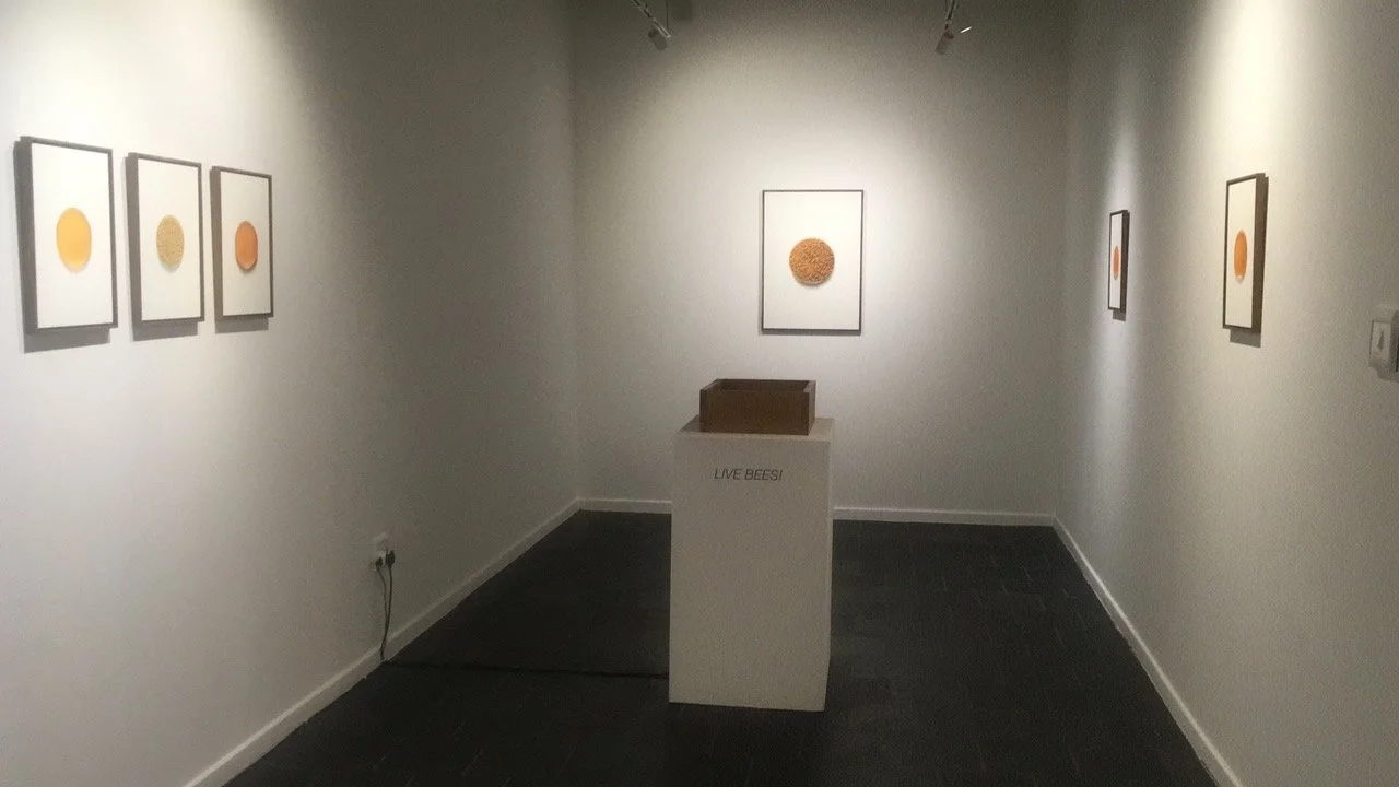 Nicholas Hess, 'Live Bees' (2021)
