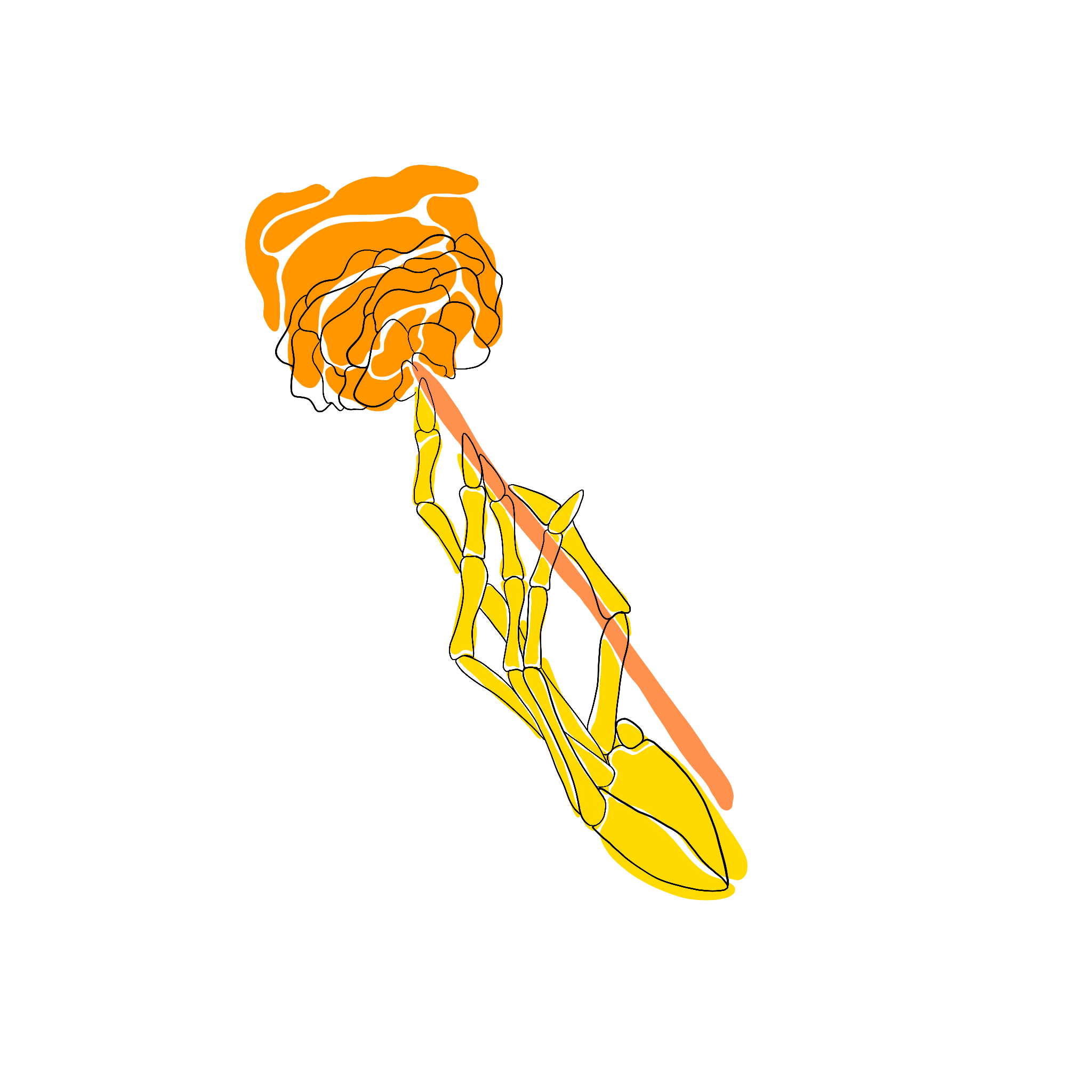 Yellow Rose