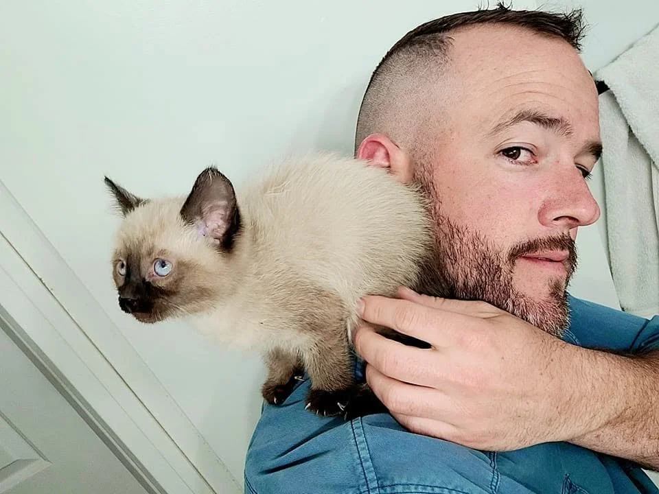 A man with a short beard holding a siamese kitten on his shoulder.