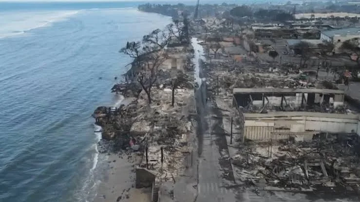 Aerial view of a coastline with significant destruction, including burned trees, damaged structures, and debris along the shoreline after a fire or disaster.