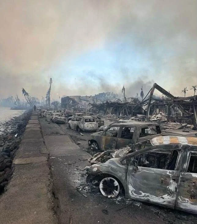 Burned-out vehicles lined up along a street with damaged buildings and smoky sky in the background, indicating a recent fire or disaster.