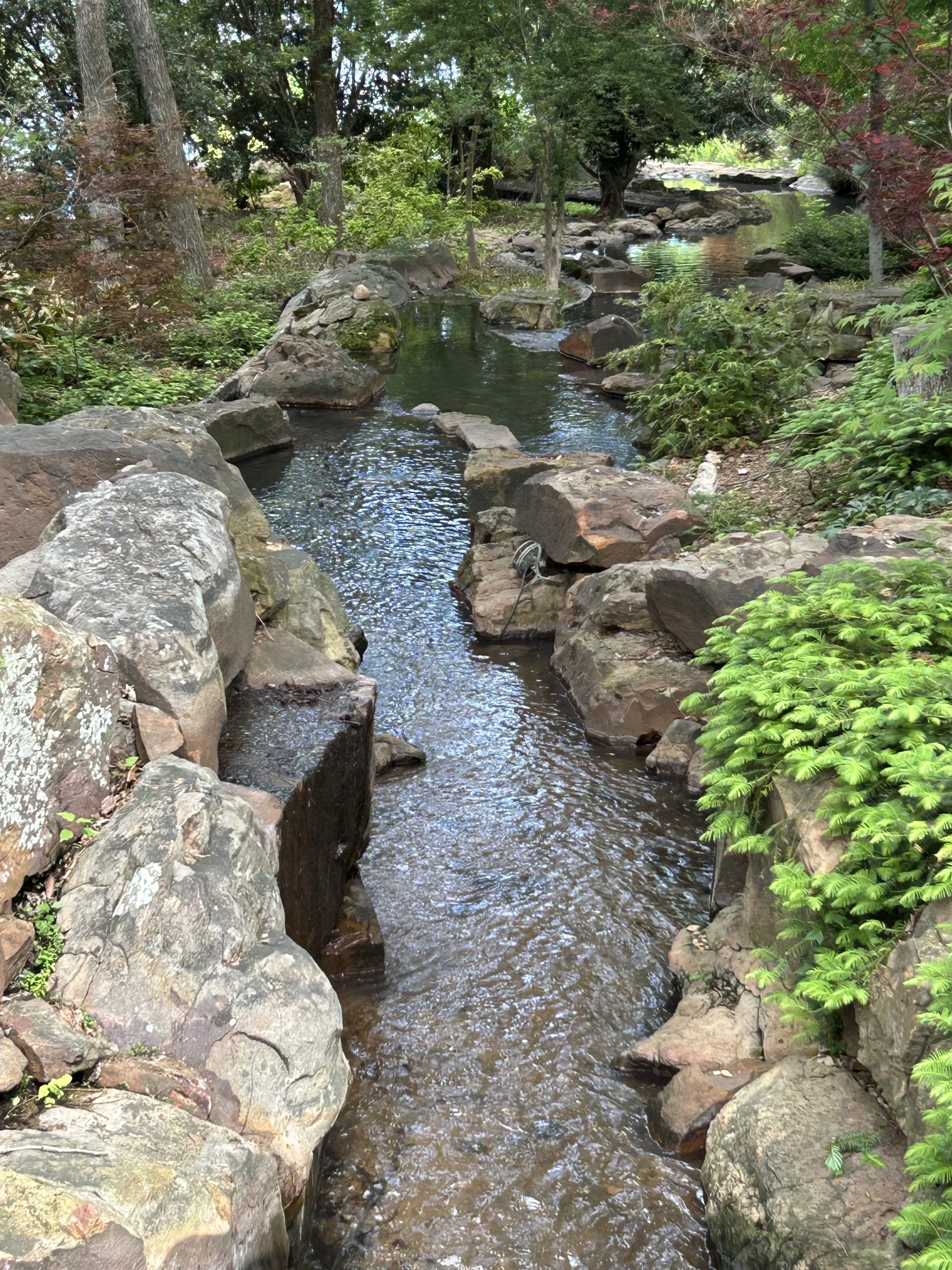 Dallas Arboretum: A peaceful stream flowing over rocks in a lush, green forest with trees and bushes surrounding it.