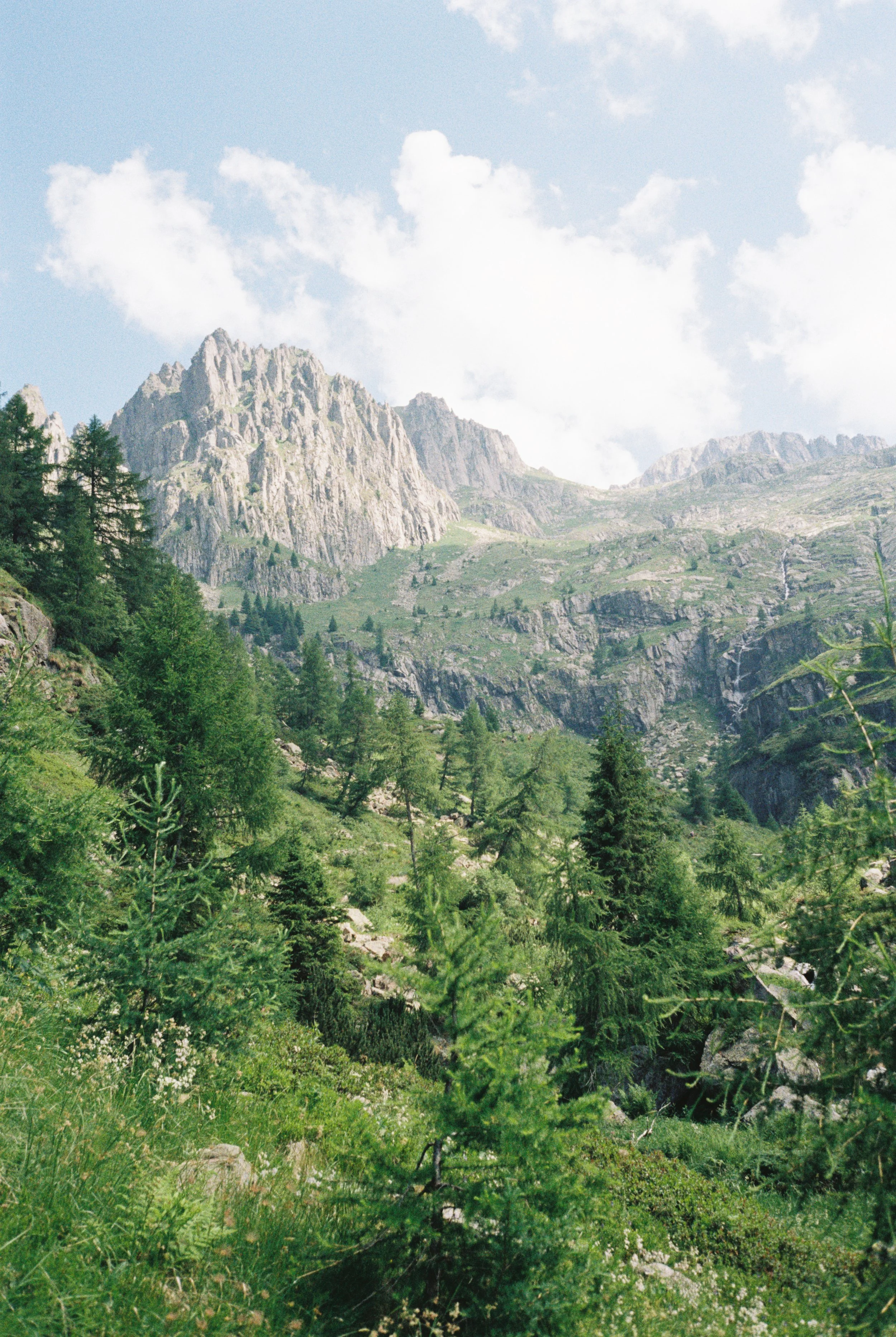 R1-09782-003A.jpg