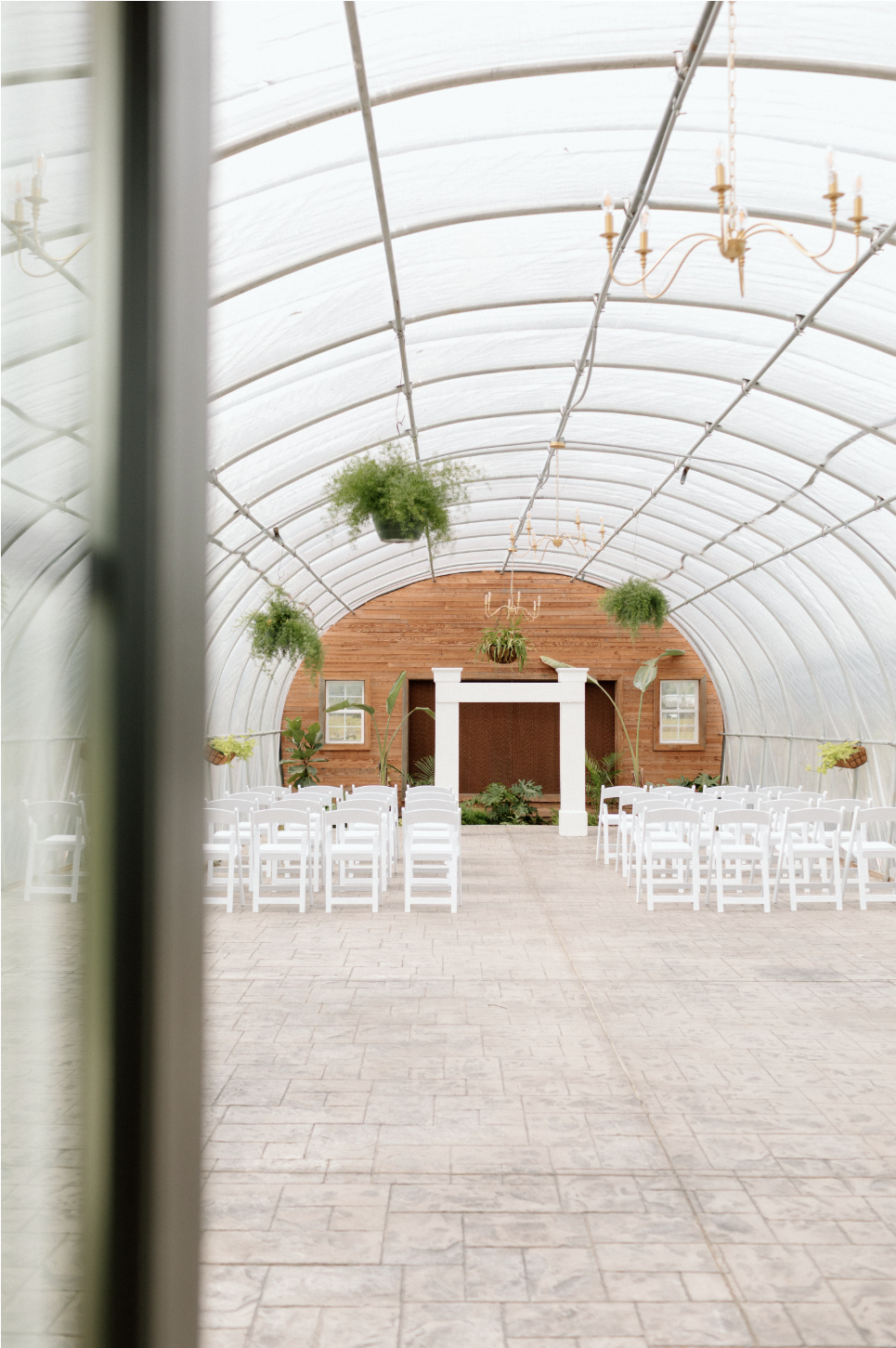 Interior of a greenhouse set up for a wedding or event with white chairs, hanging plants, and a wooden backdrop with a white arch and greenery.