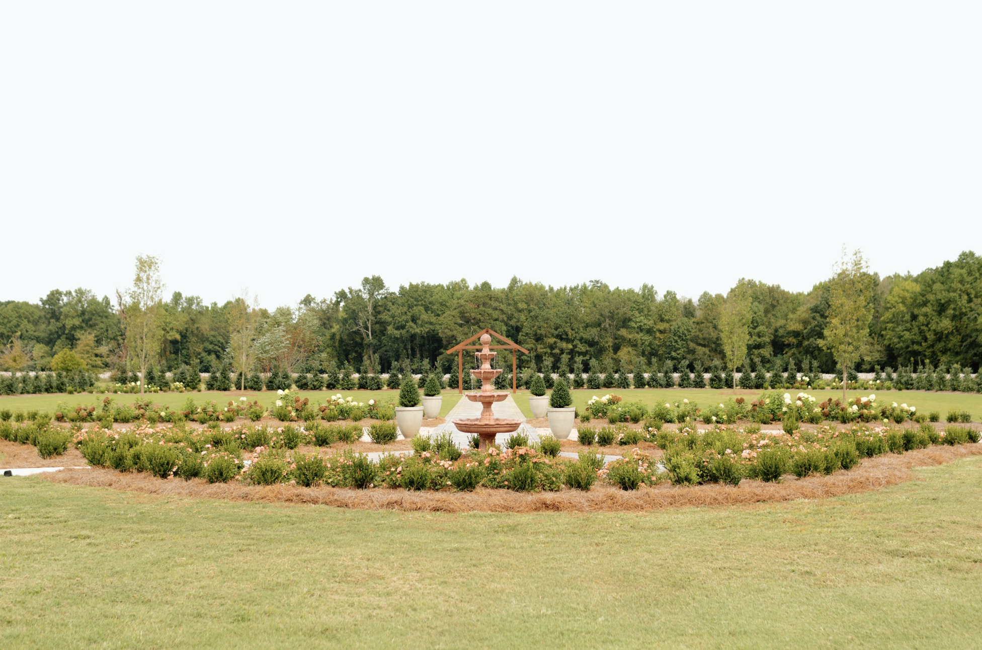 A public park with a large grassy area, a fountain, potted plants, and well-maintained flower beds, with trees and thick greenery in the background under a clear sky.