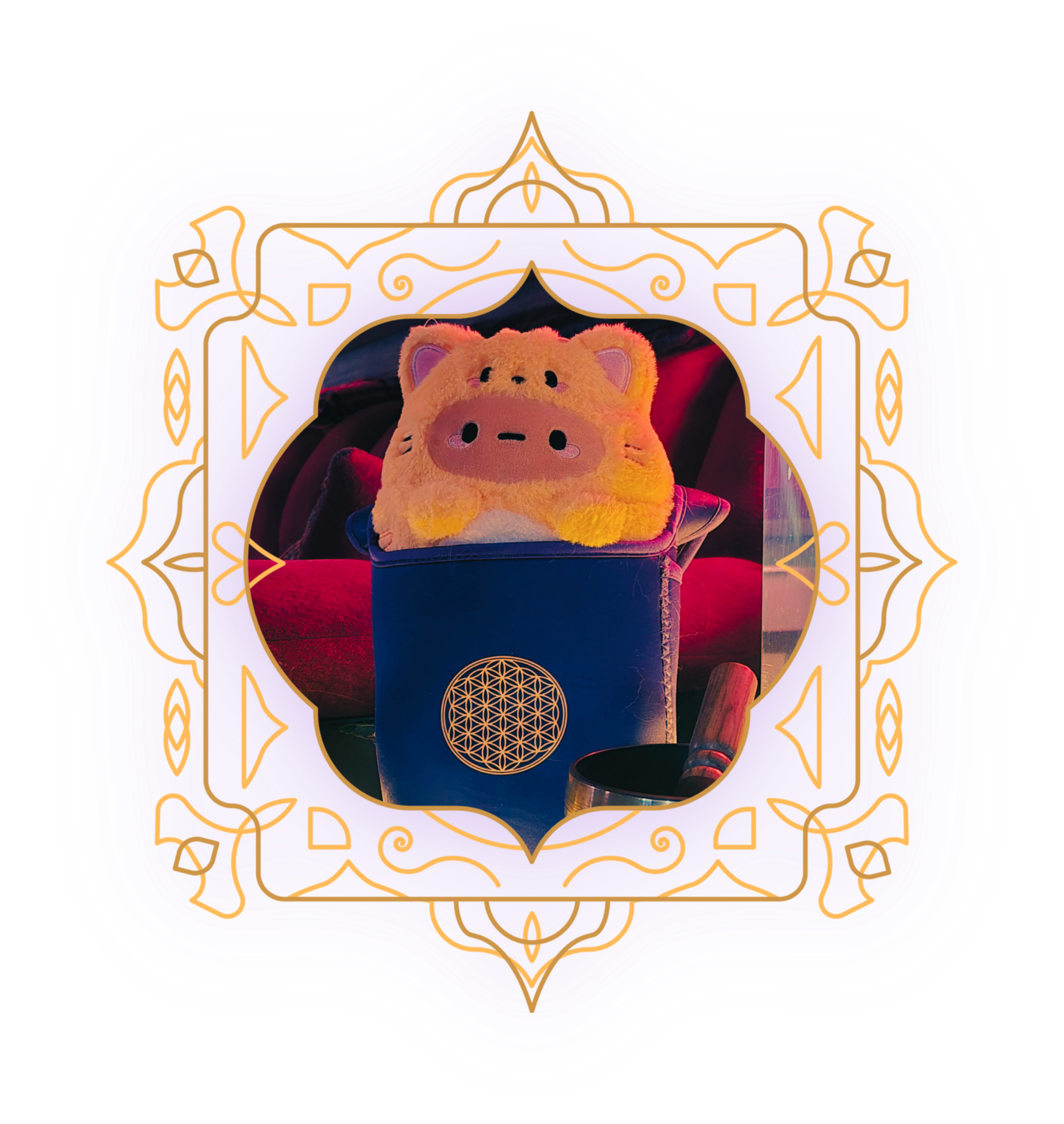 Photo of a plush pig toy placed inside a blue box, with a decorative gold pattern overlay and a colorful digital border surrounding the image.