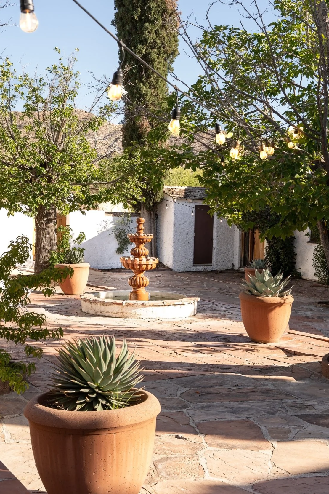 A courtyard with potted succulents and a fountain, shaded by trees, with string lights overhead and a white stucco building in the background.