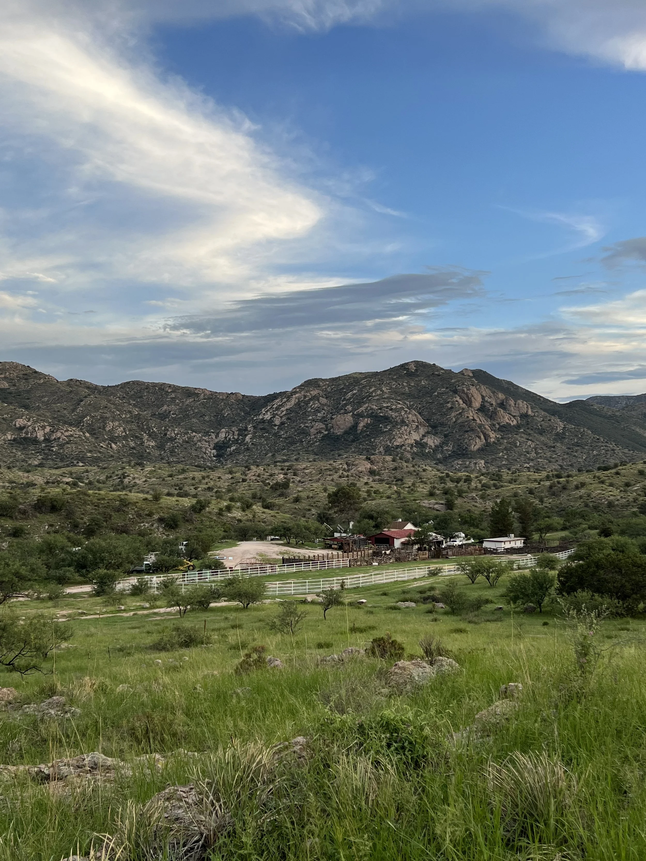 A scenic view of green grass and rocky hills under a partly cloudy sky with blue and white clouds.