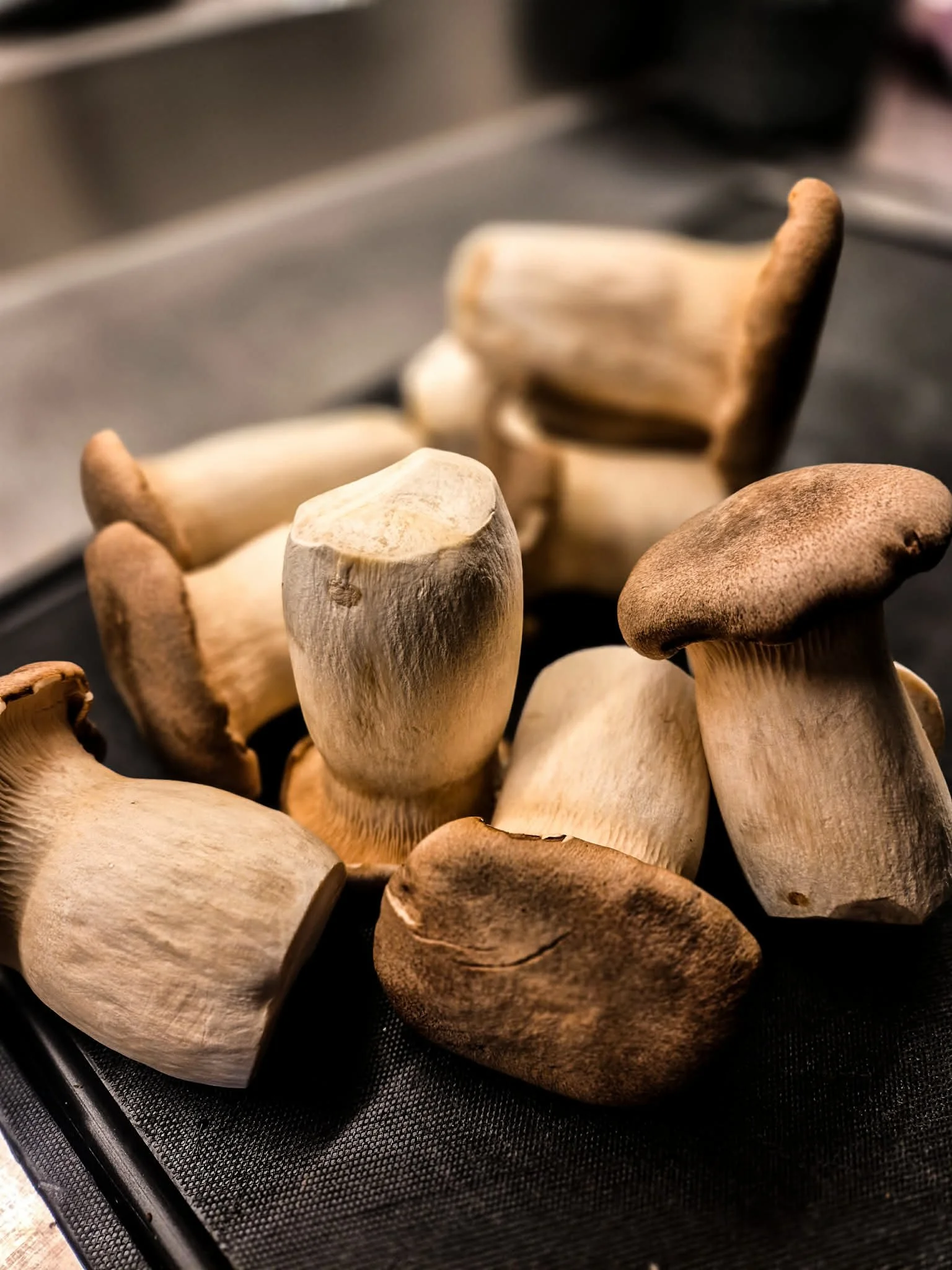 A close-up of various fresh mushrooms on a black mesh surface, with some mushrooms showing light-colored caps and others darker brown caps.