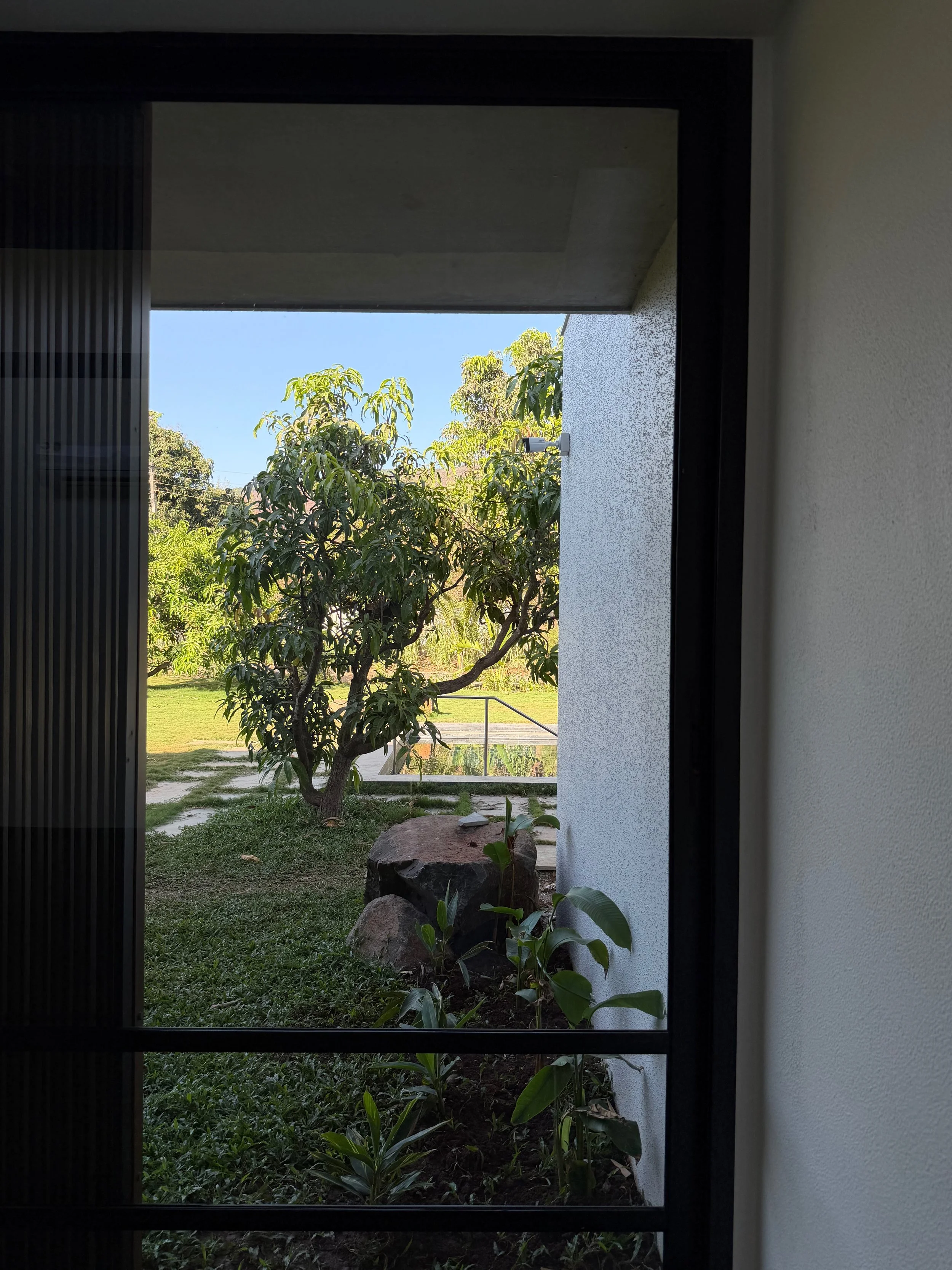 IMG_0982.jpeg