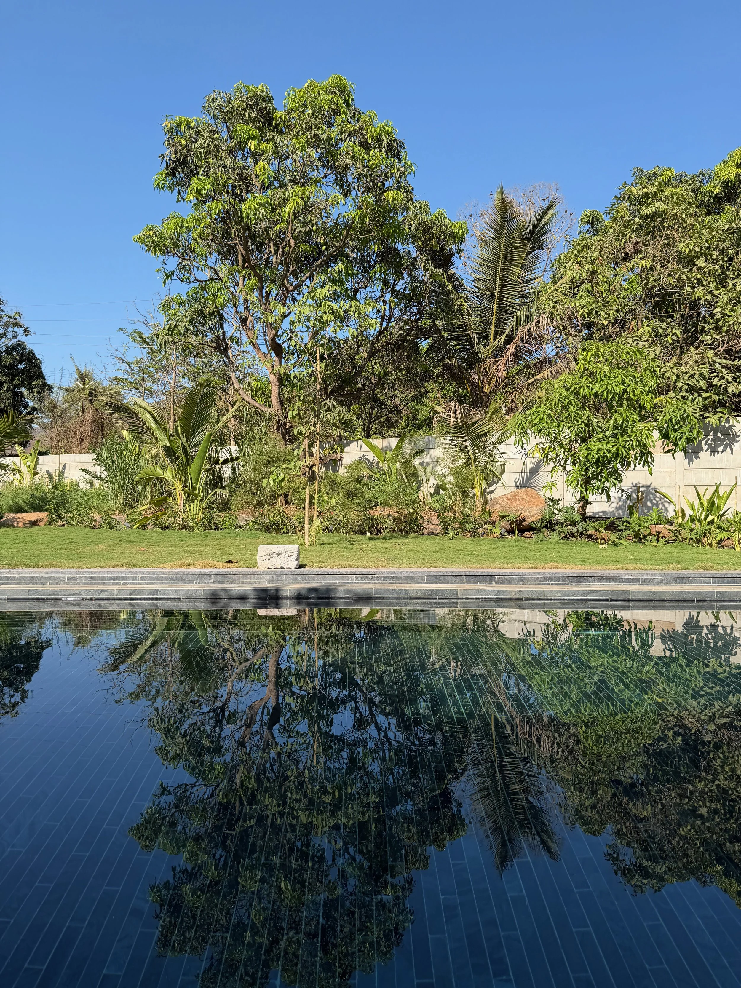 IMG_0940.jpeg