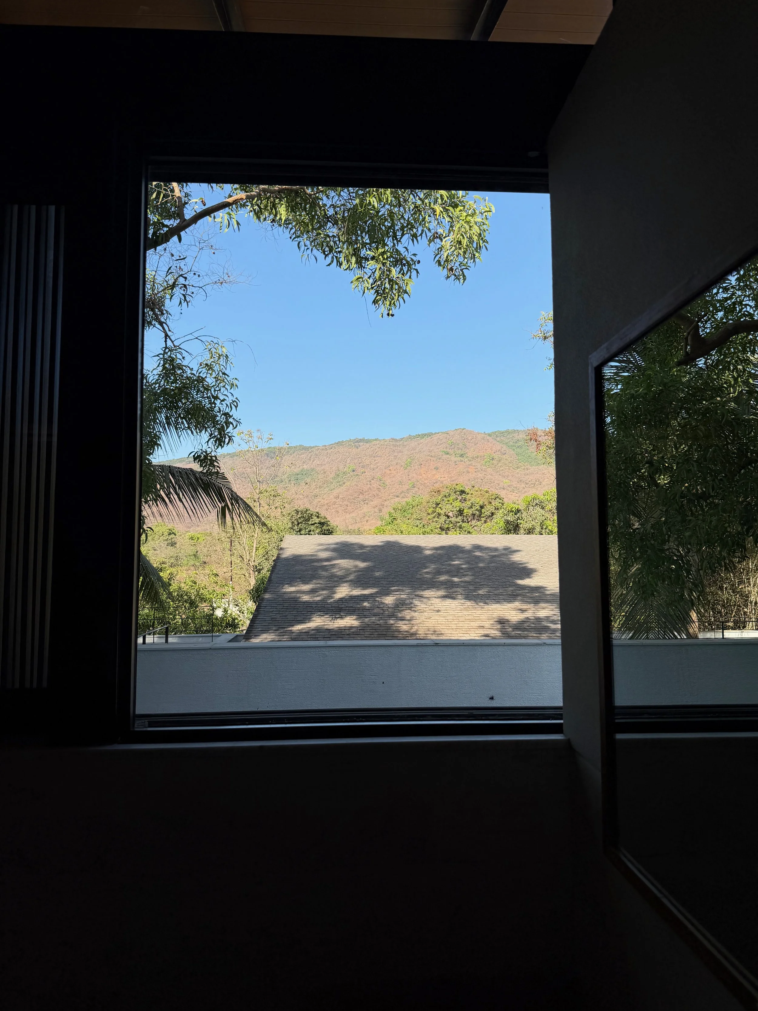 IMG_1011.jpeg