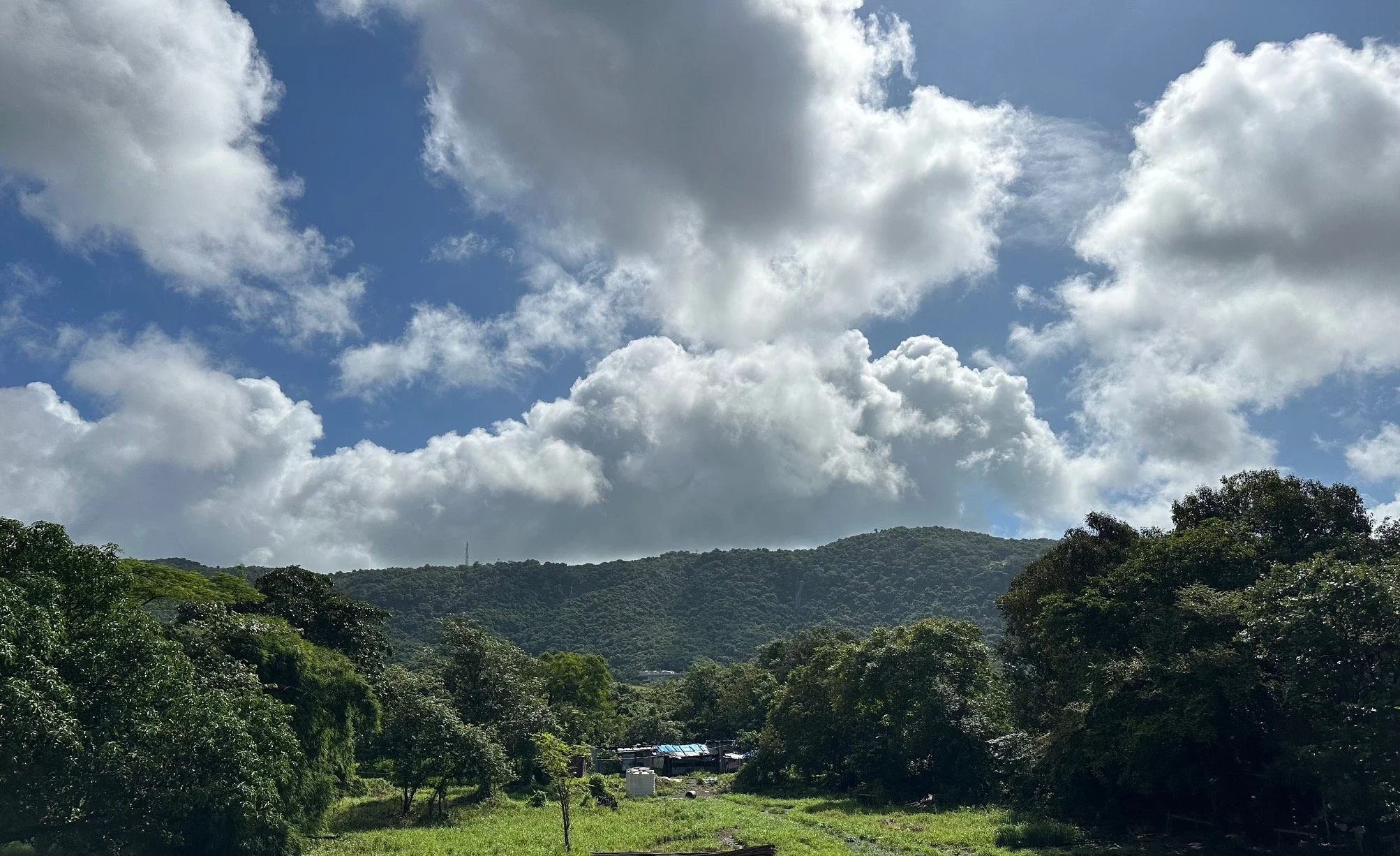 Landscape of lush green trees and rolling hills under a partly cloudy sky in Satirje, Alibag