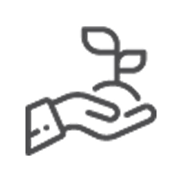 Icon of a hand holding a small plant with leaves, representing growth or nurturing in gray outline.