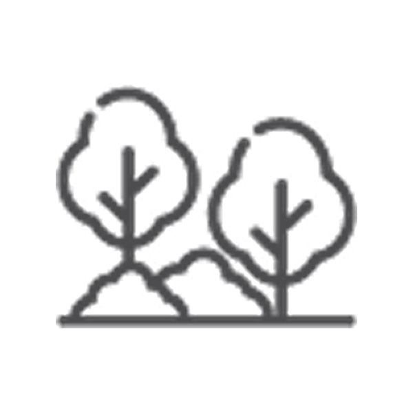 Simple line drawing of two trees with round canopies on a small hill.