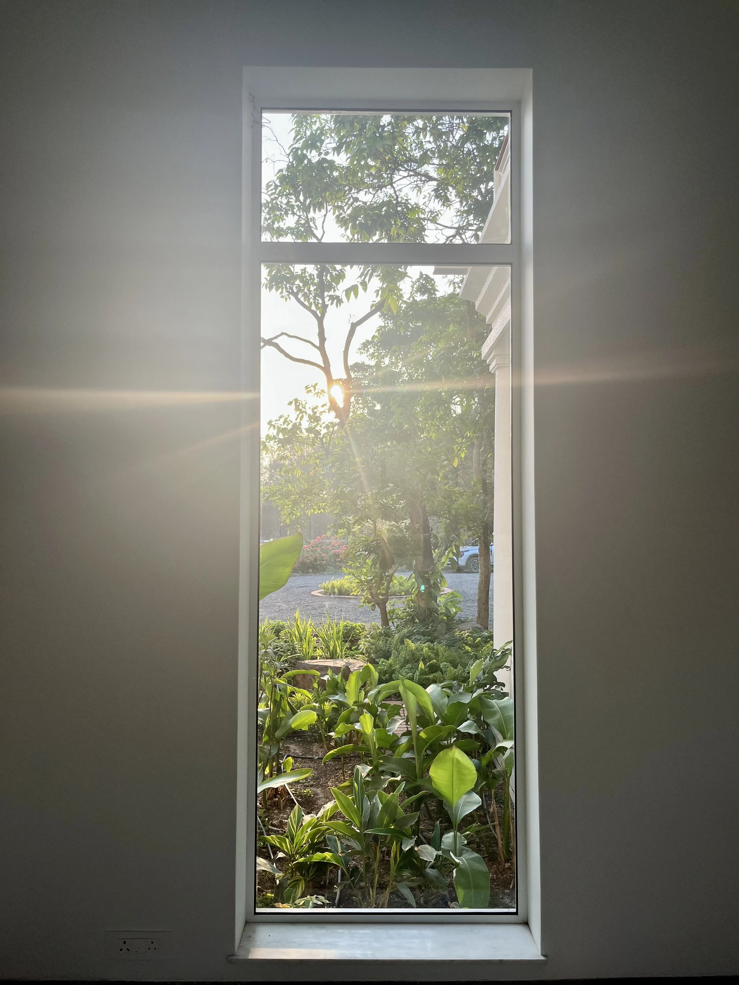 IMG_5462.jpeg