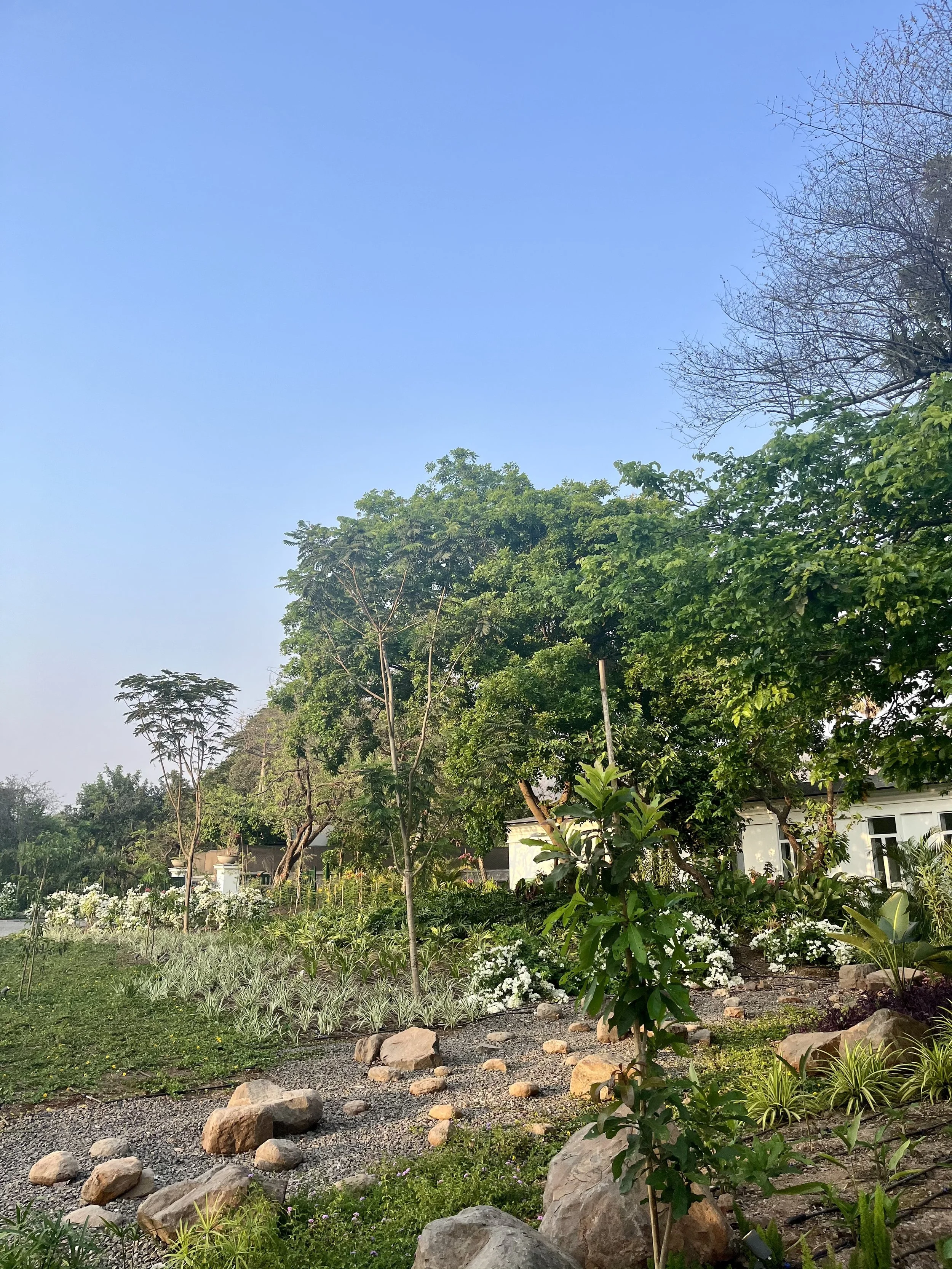 IMG_5459.jpeg
