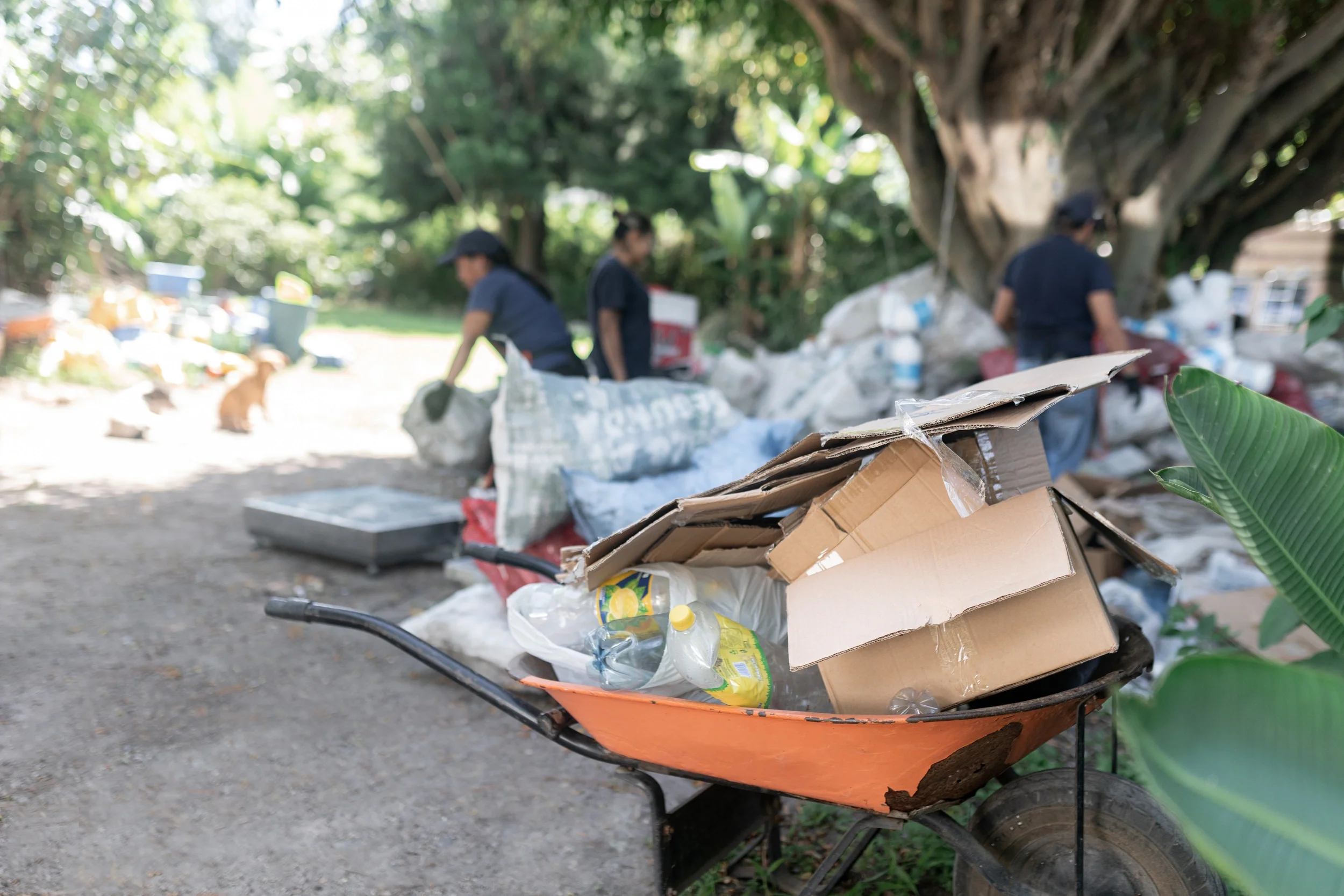 Complete Junk Removal 8