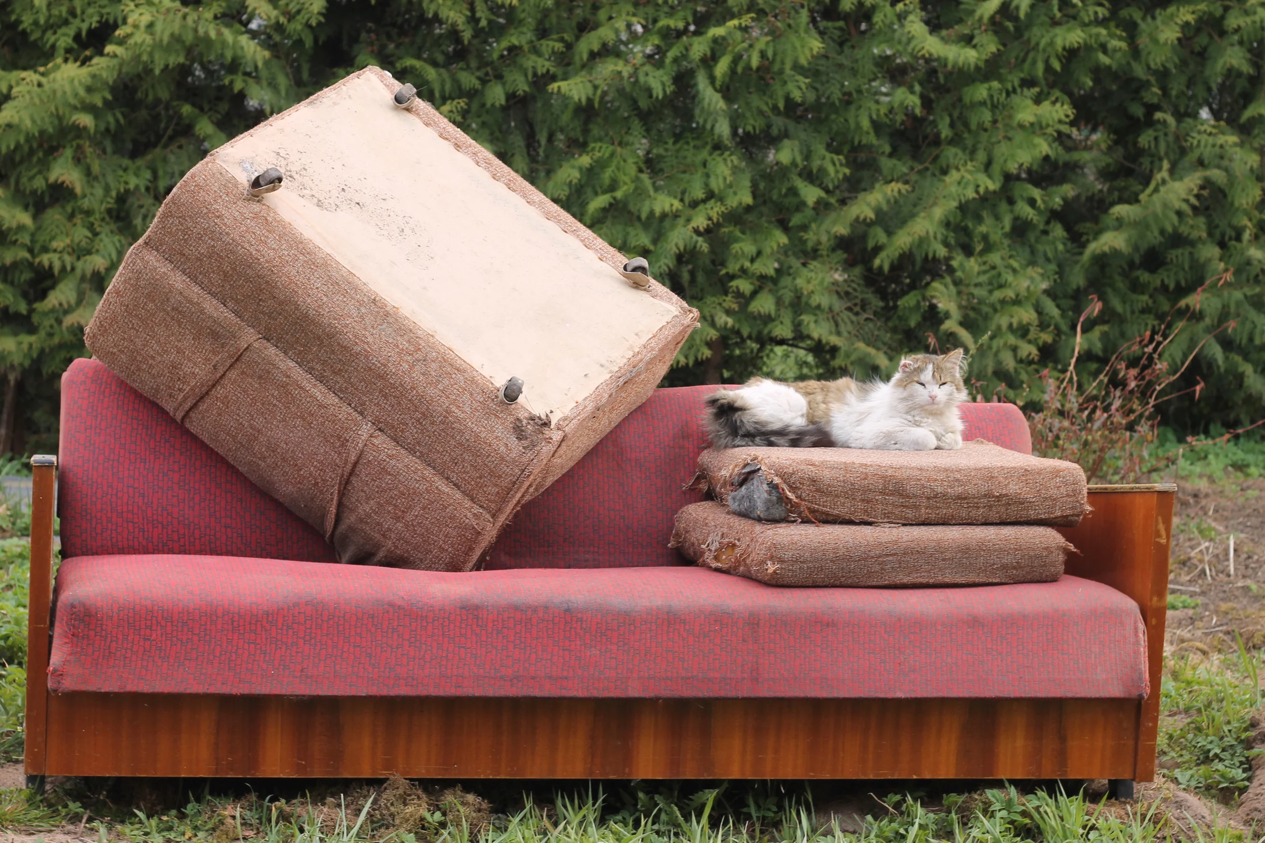 sofa removal