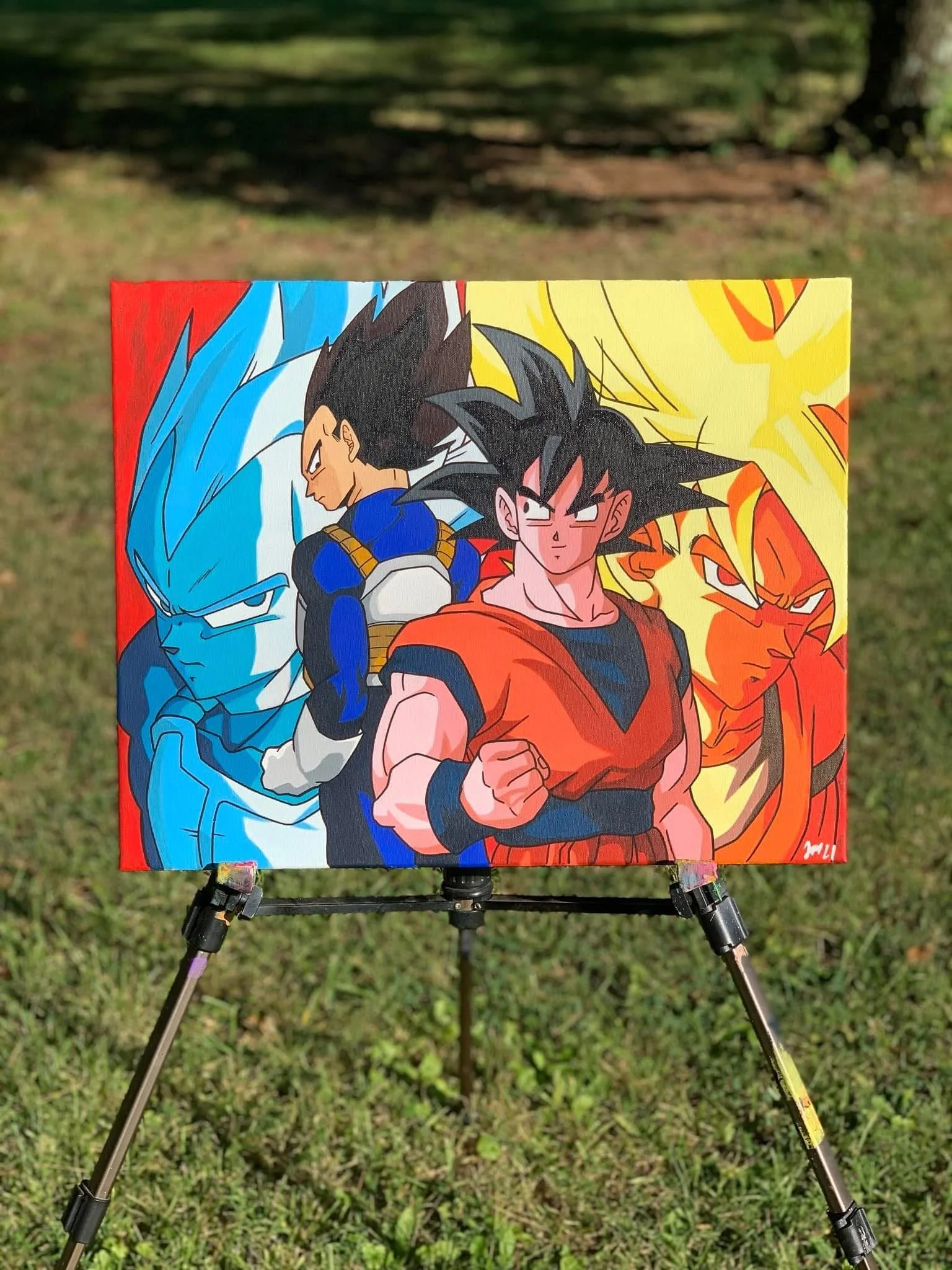 Goku and Vegeta
