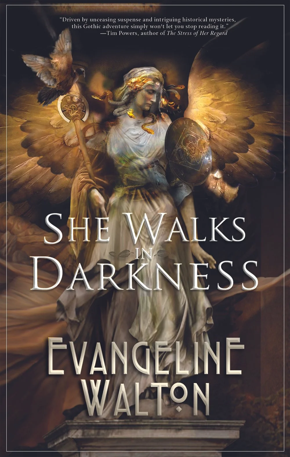 She Walks in Darkness cover.jpg