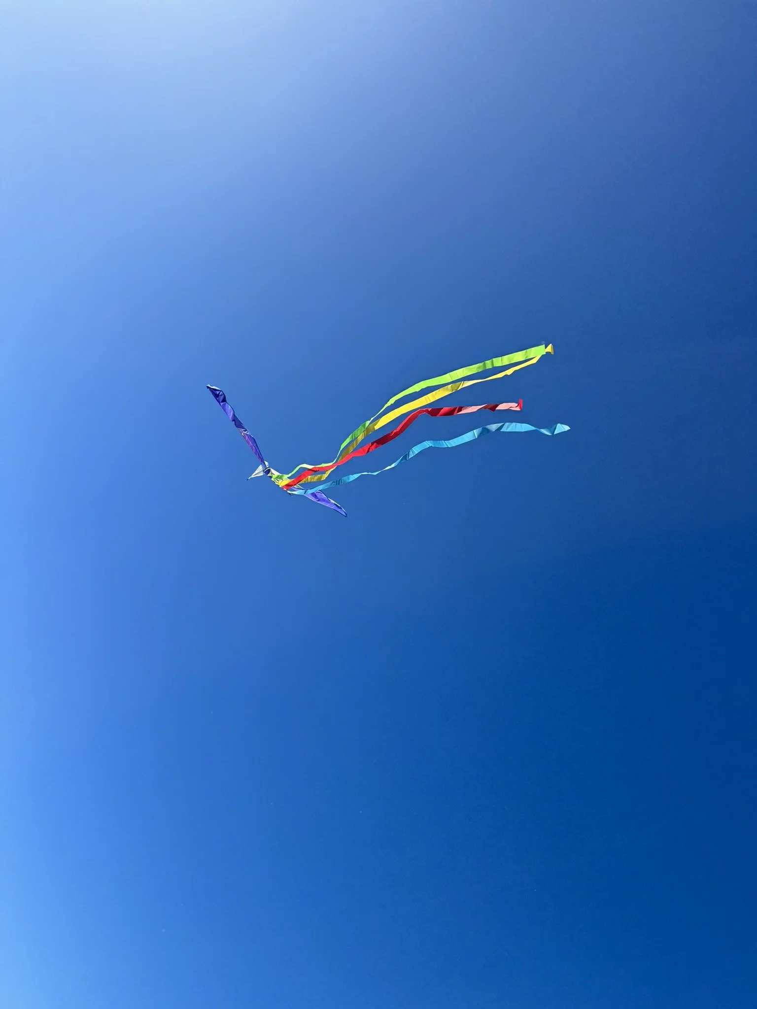 Kite flying in Cabo