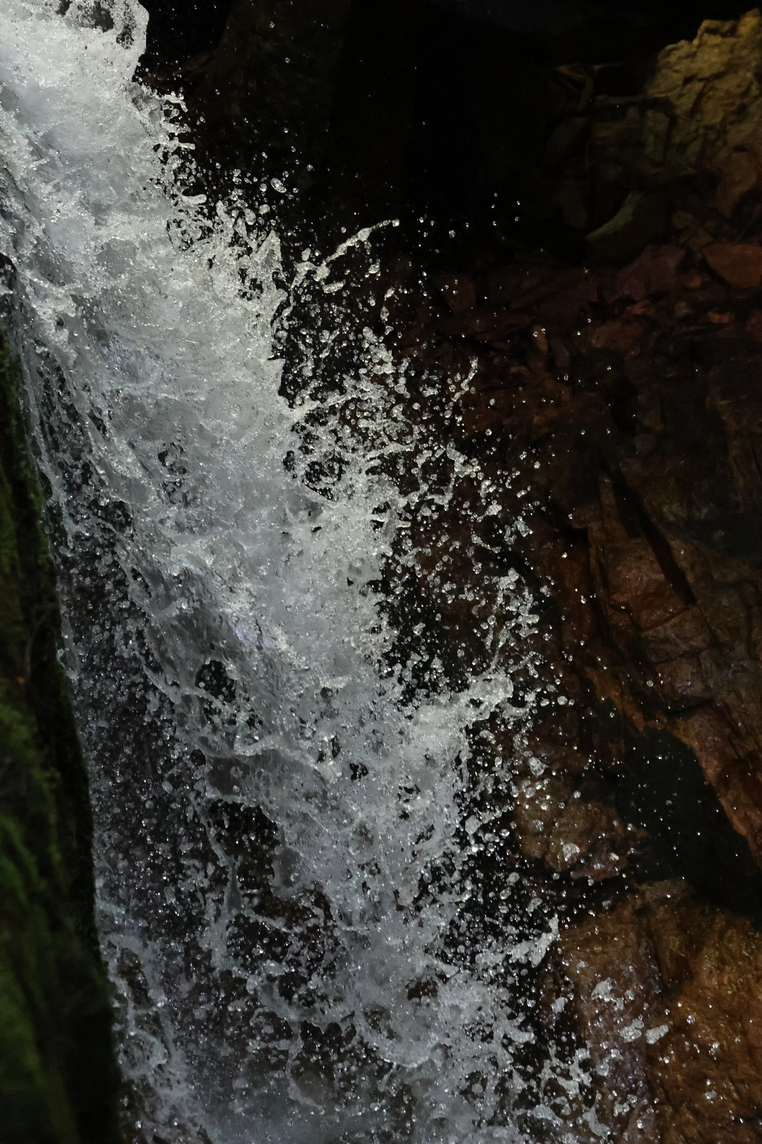 401A7816.jpg